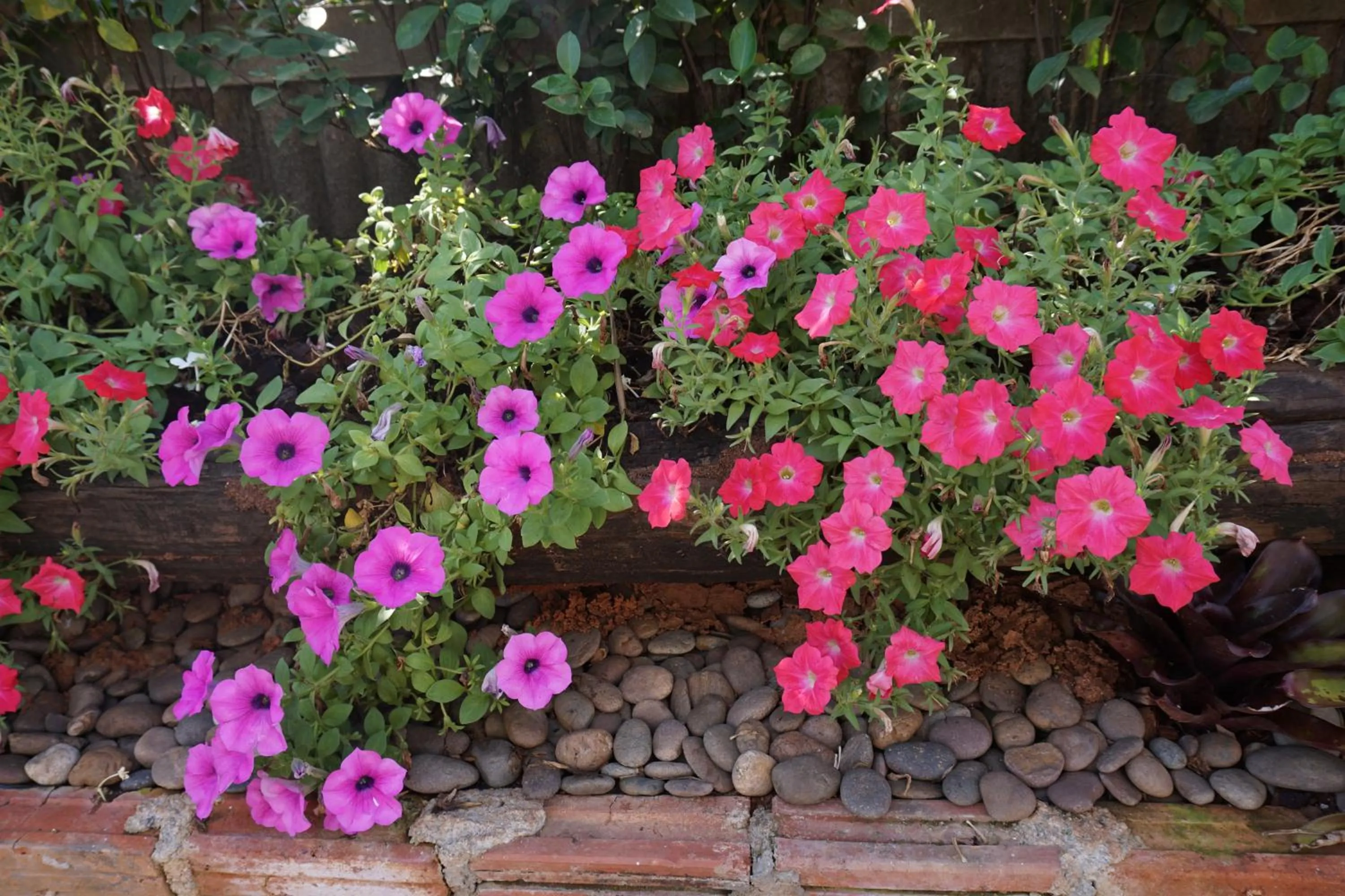 Neighbourhood in Chompu Nakarin Apartment