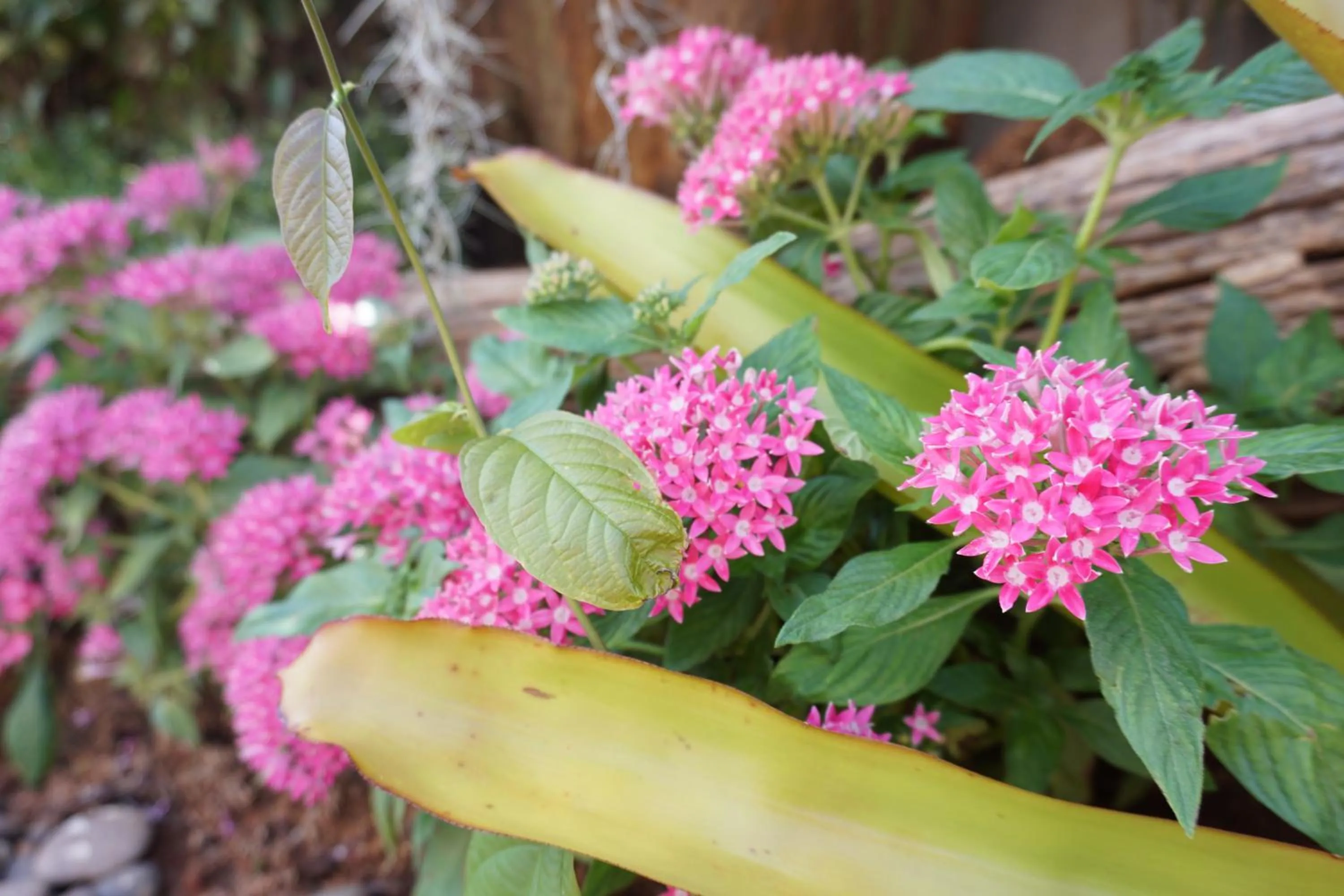 Neighbourhood in Chompu Nakarin Apartment