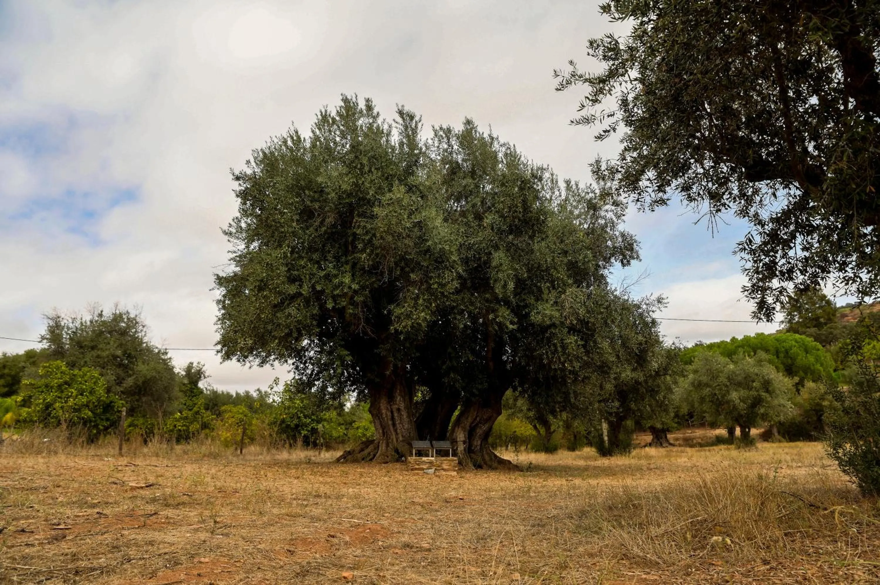 Natural landscape in Horta da Moura by WOT Signature