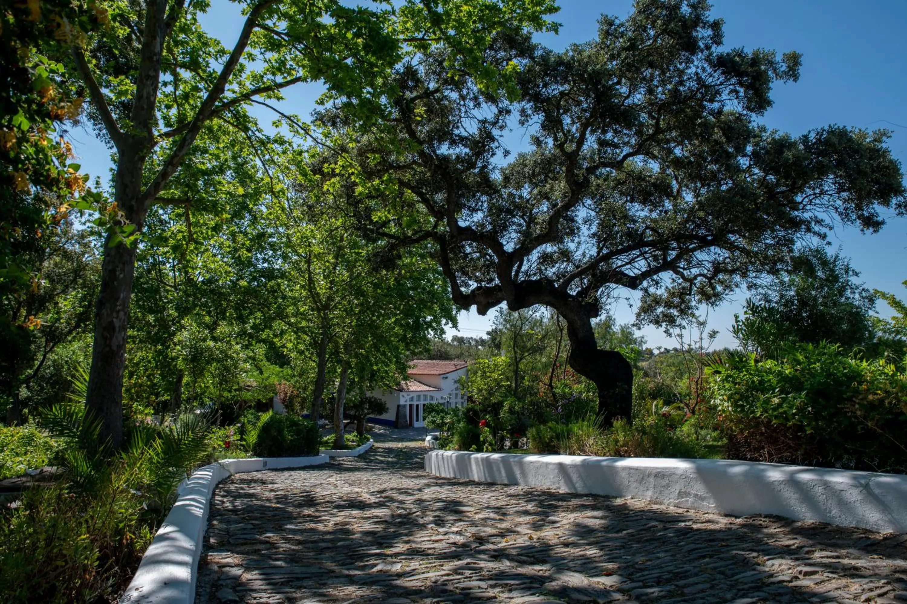 Garden in Horta da Moura by WOT Signature