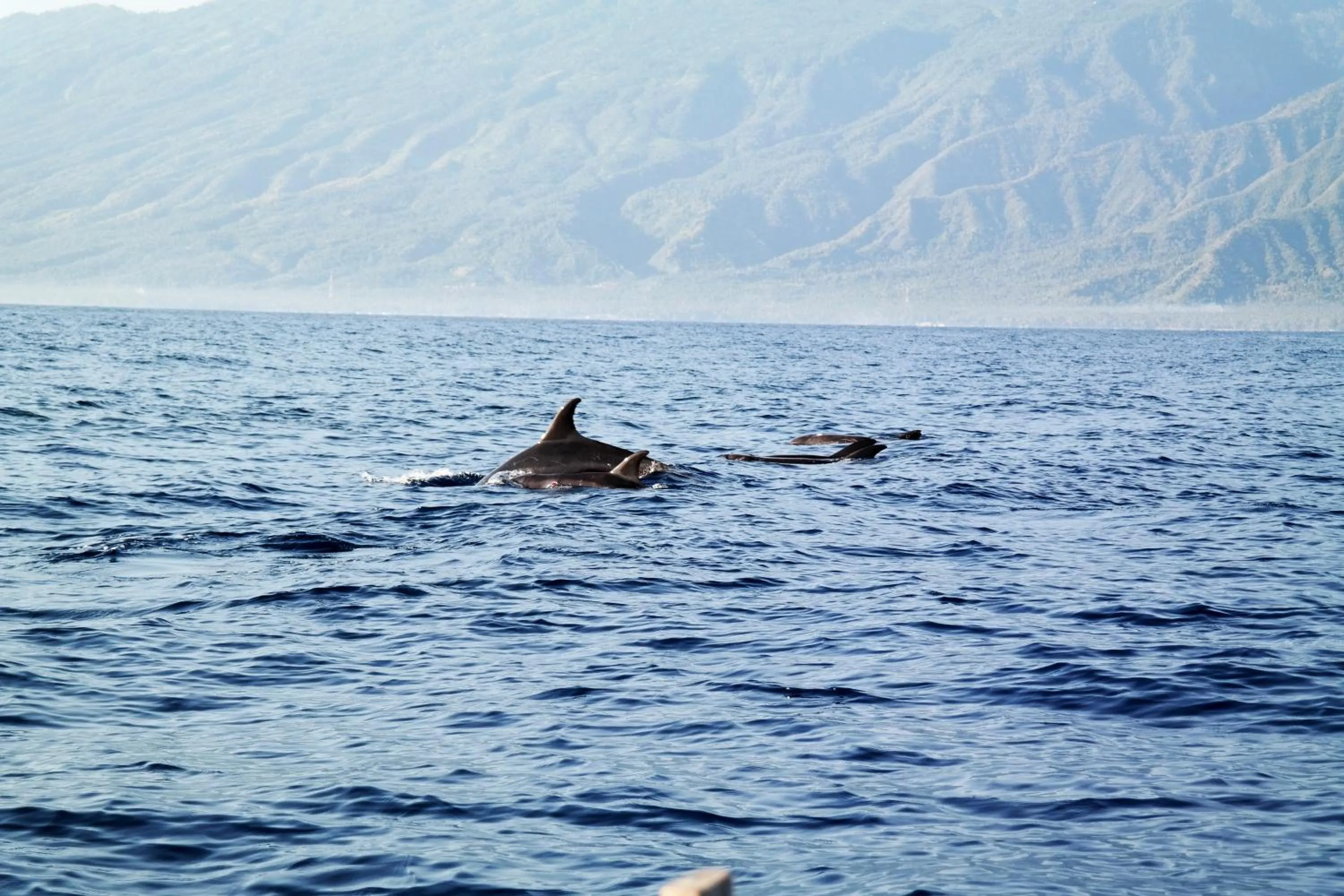 Neighbourhood in Cili Emas Oceanside Resort