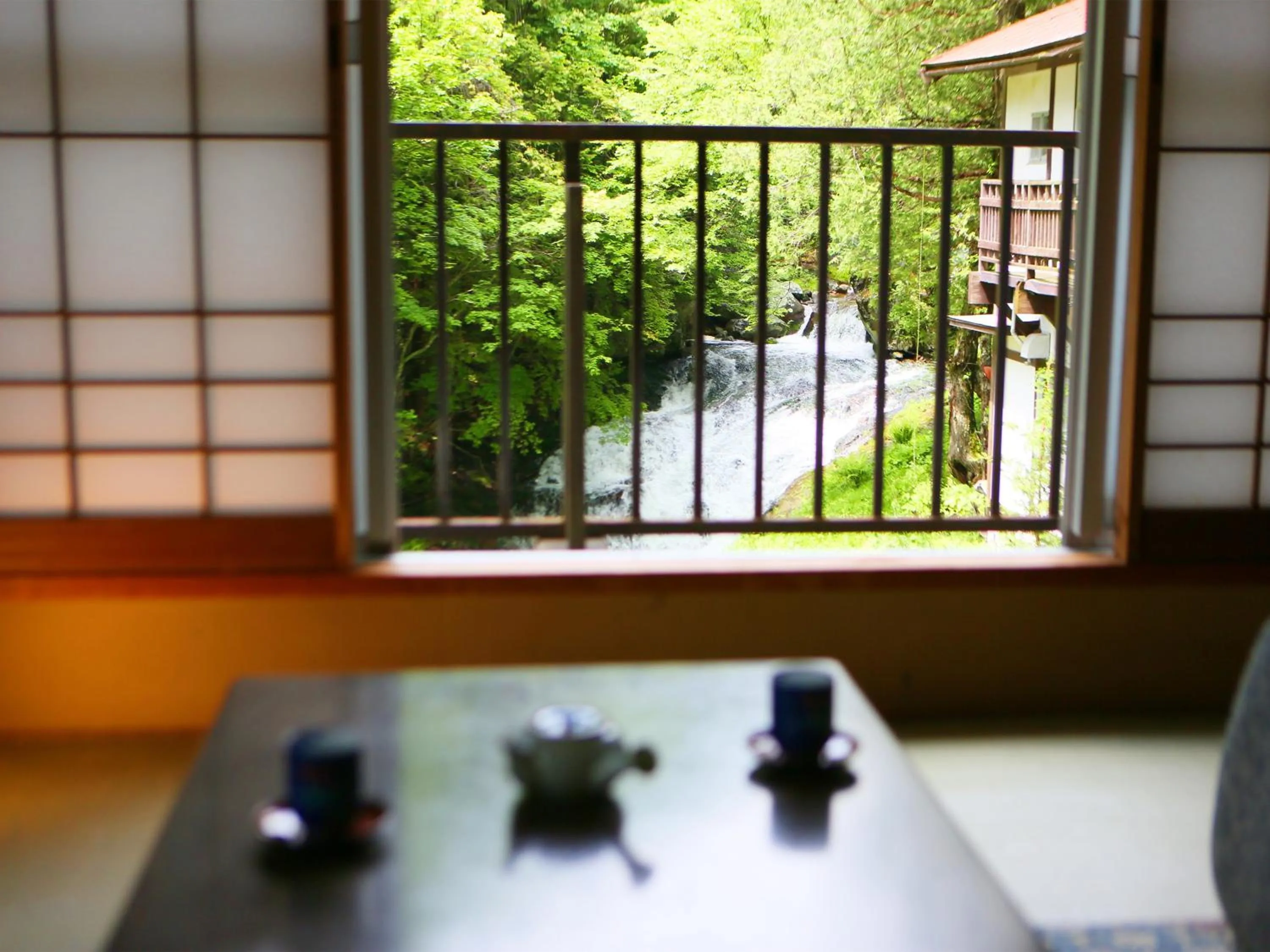 Photo of the whole room in Yama no Yado Meiji Onsen