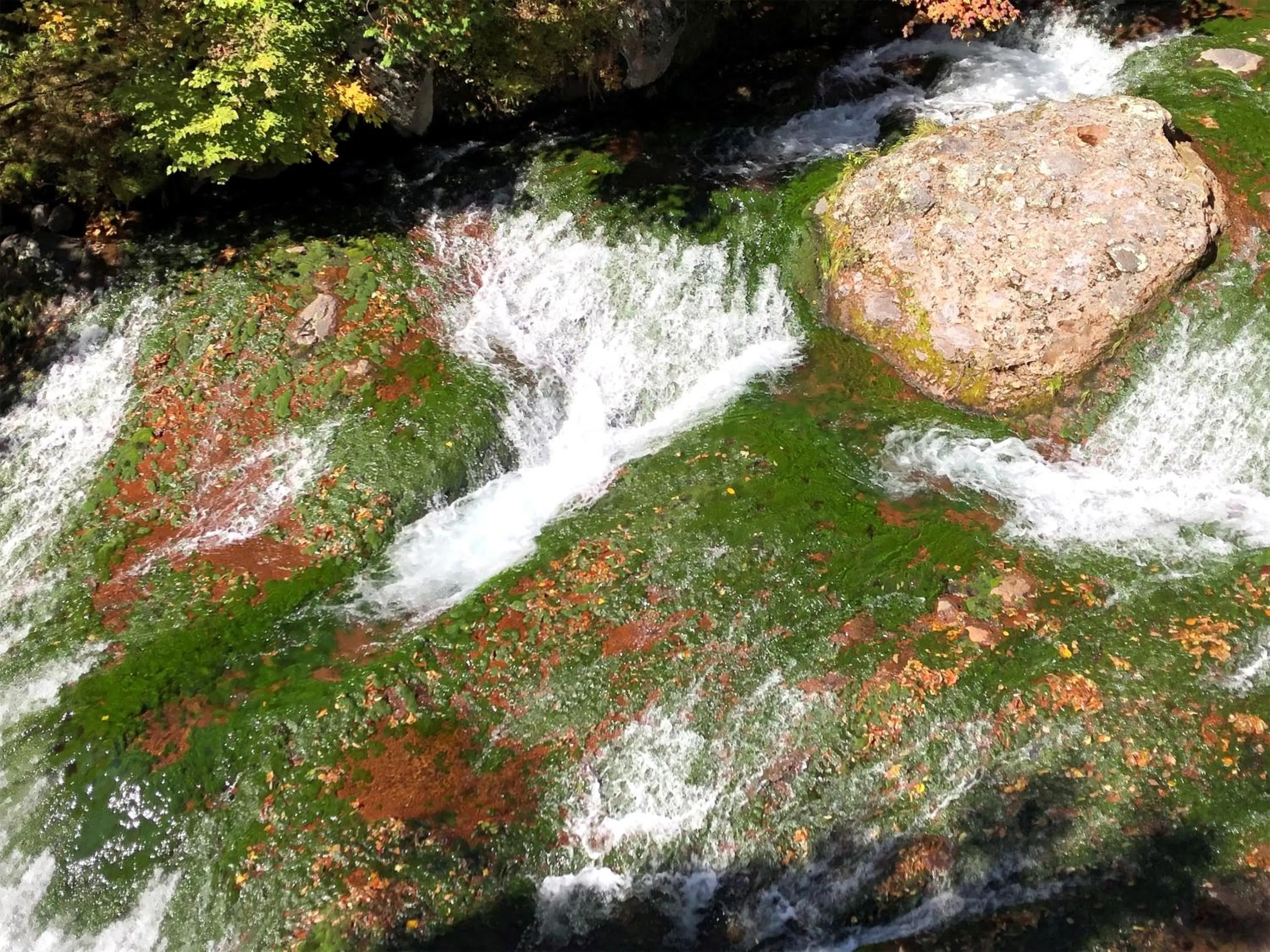 Off site in Yama no Yado Meiji Onsen