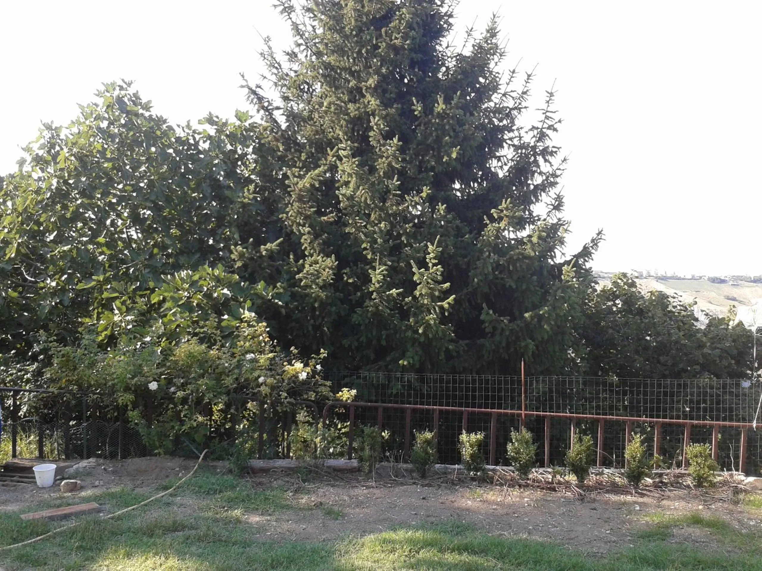 On site in B&b San Nicola