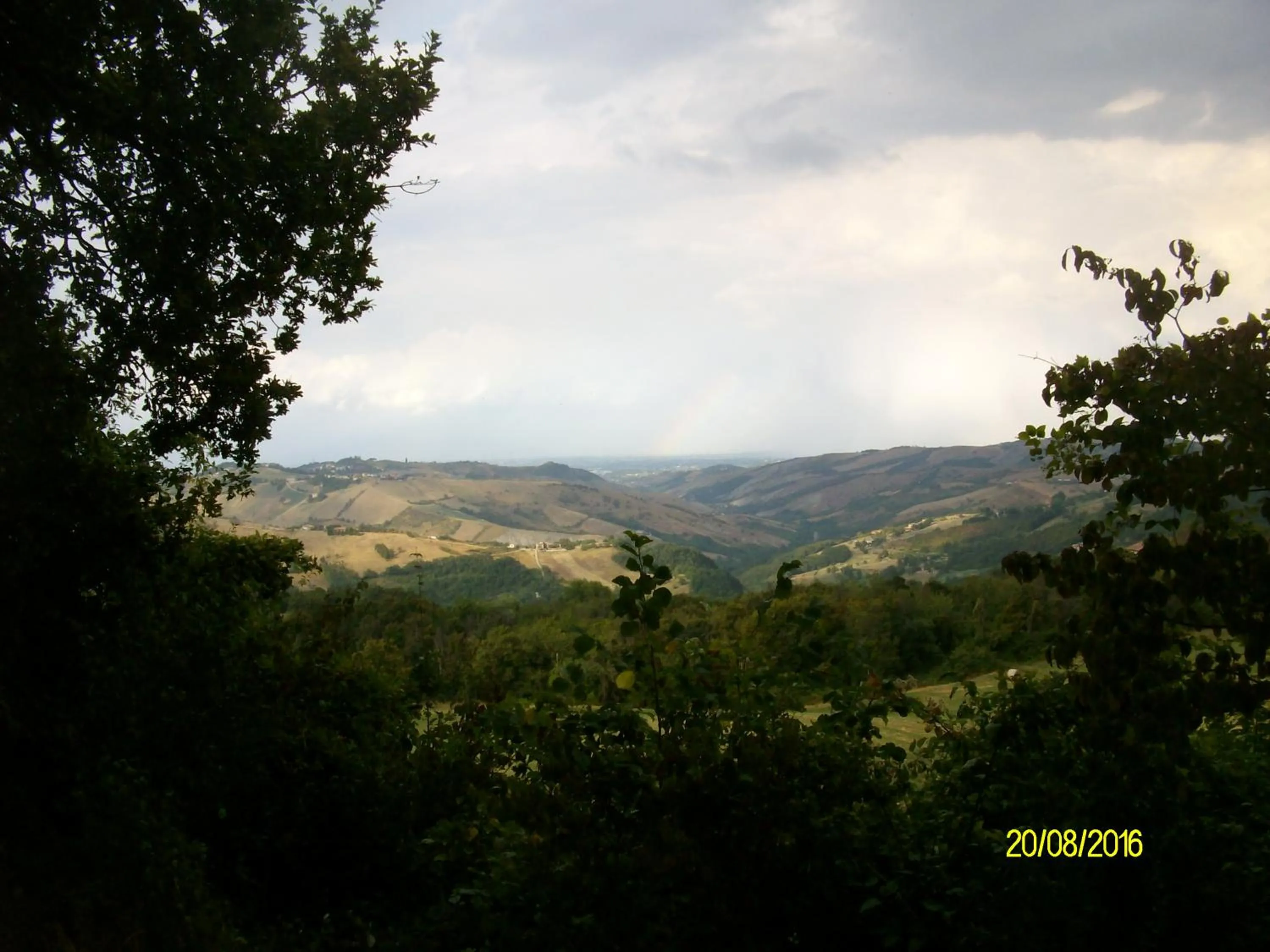 Garden view in B&b San Nicola