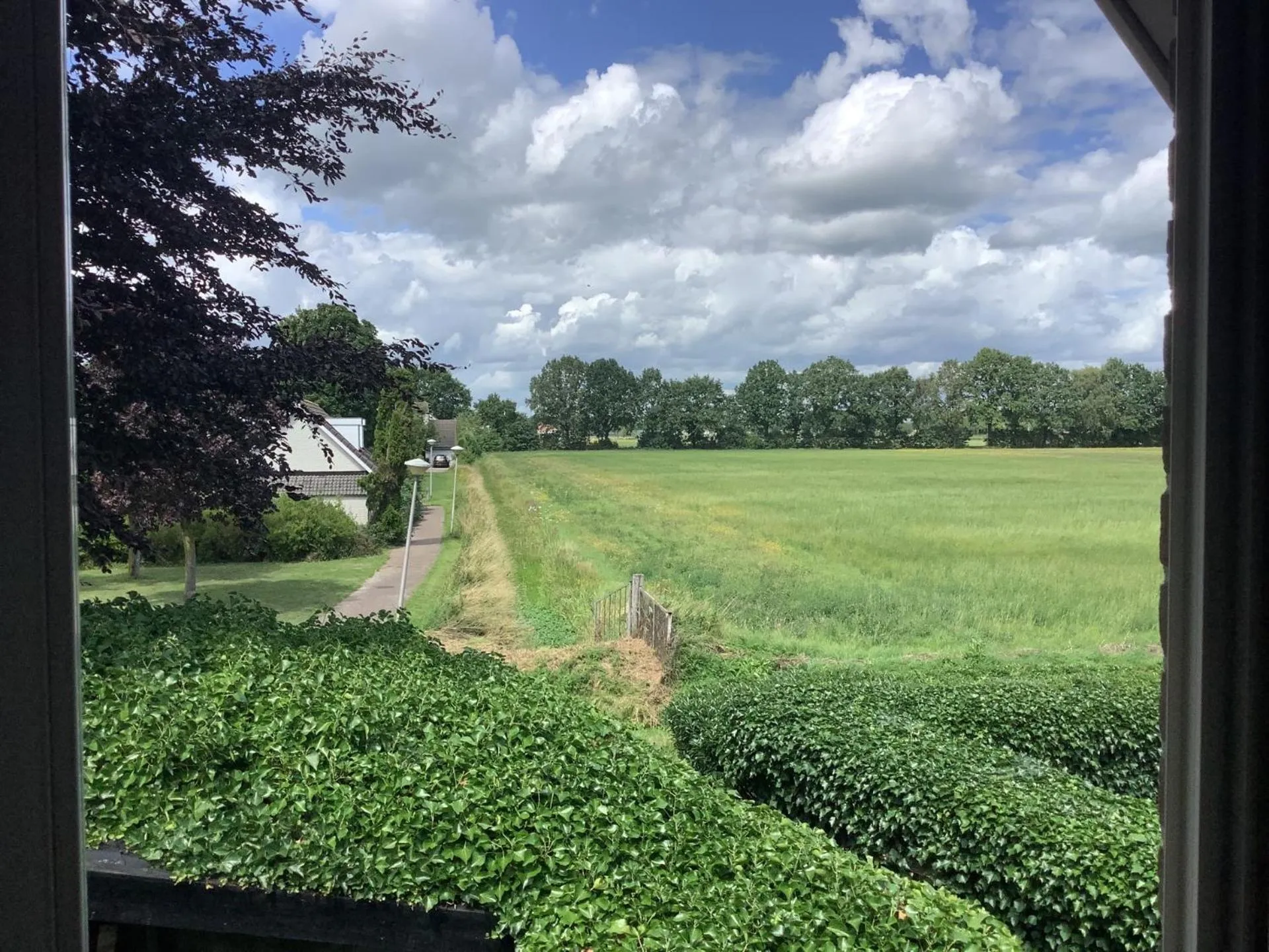 Natural landscape in Magnolia appartement