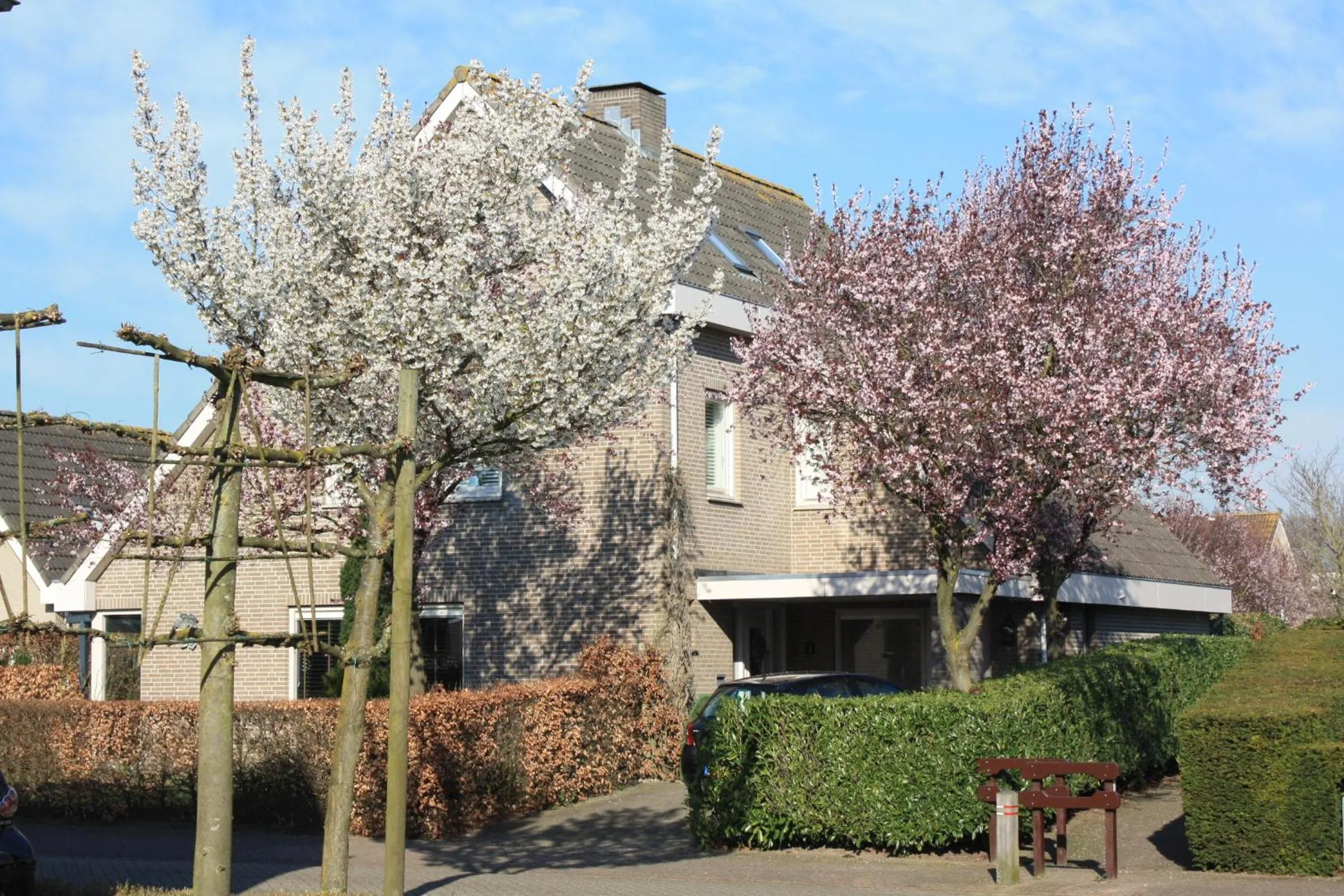 Neighbourhood in Magnolia appartement