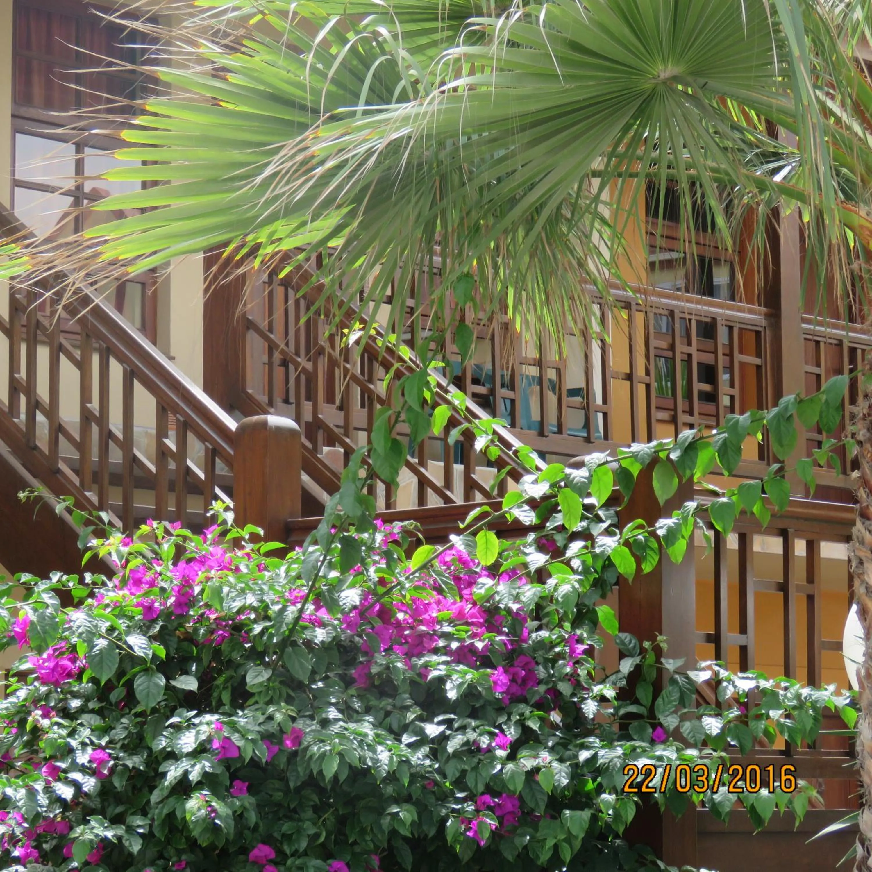 Property building in Hotel A la Mer