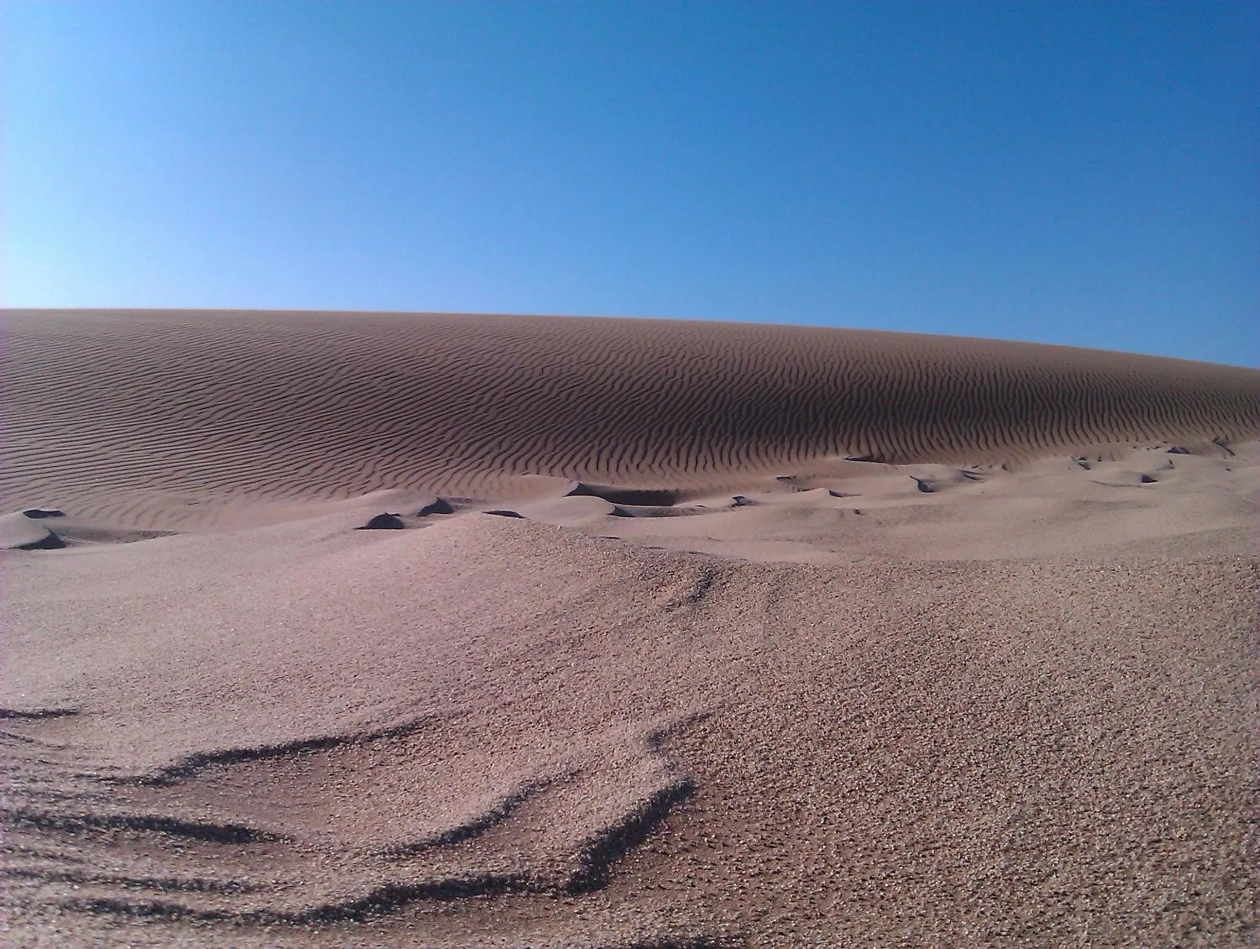 Natural landscape in Hotel A la Mer