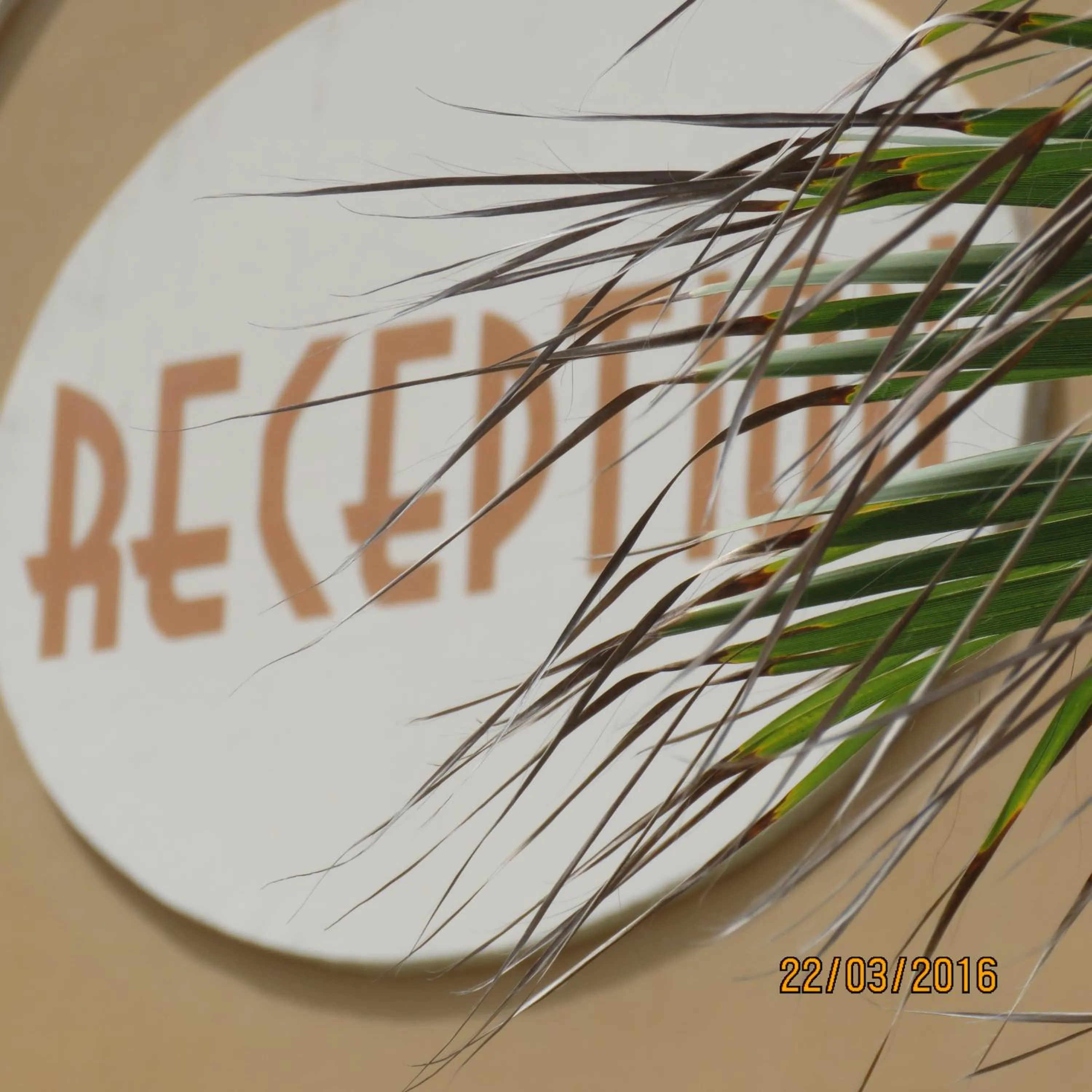 Facade/entrance in Hotel A la Mer