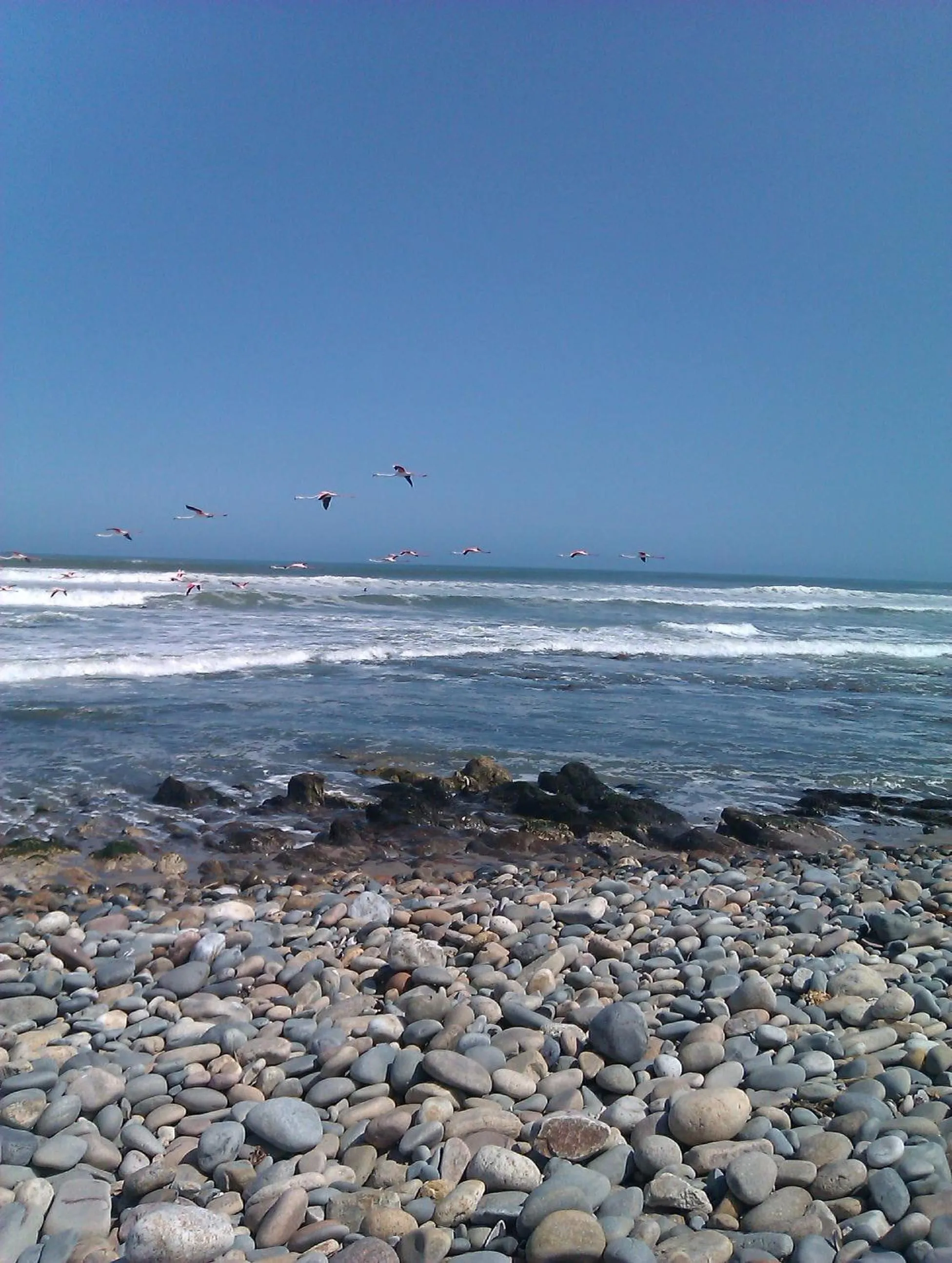 Beach in Hotel A la Mer