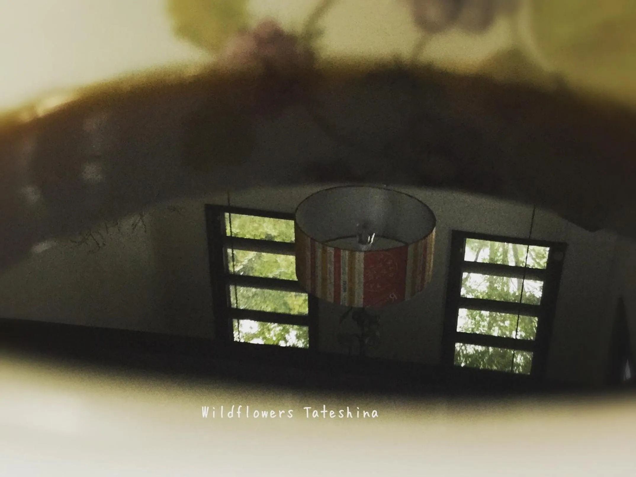 Restaurant/places to eat in Pension Wildflowers