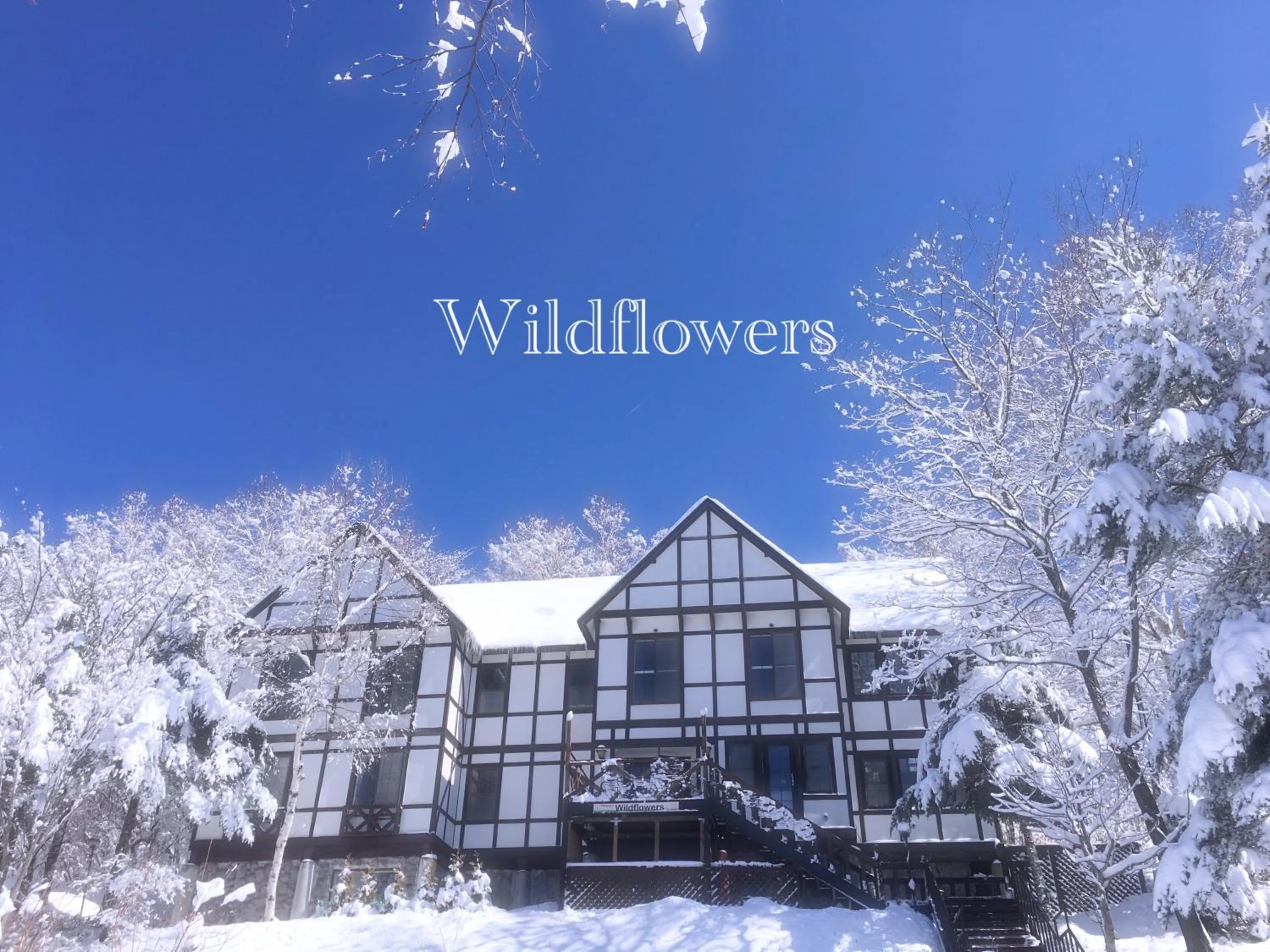 Property building in Pension Wildflowers