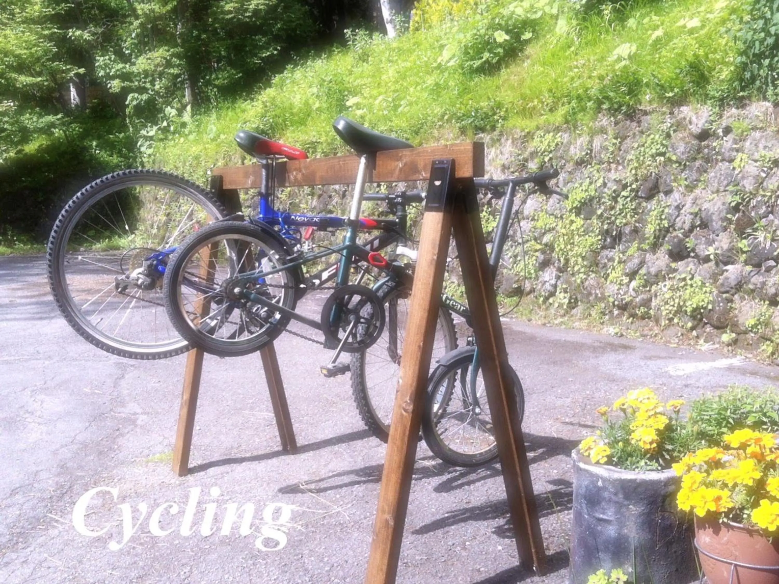 Property building in Pension Wildflowers