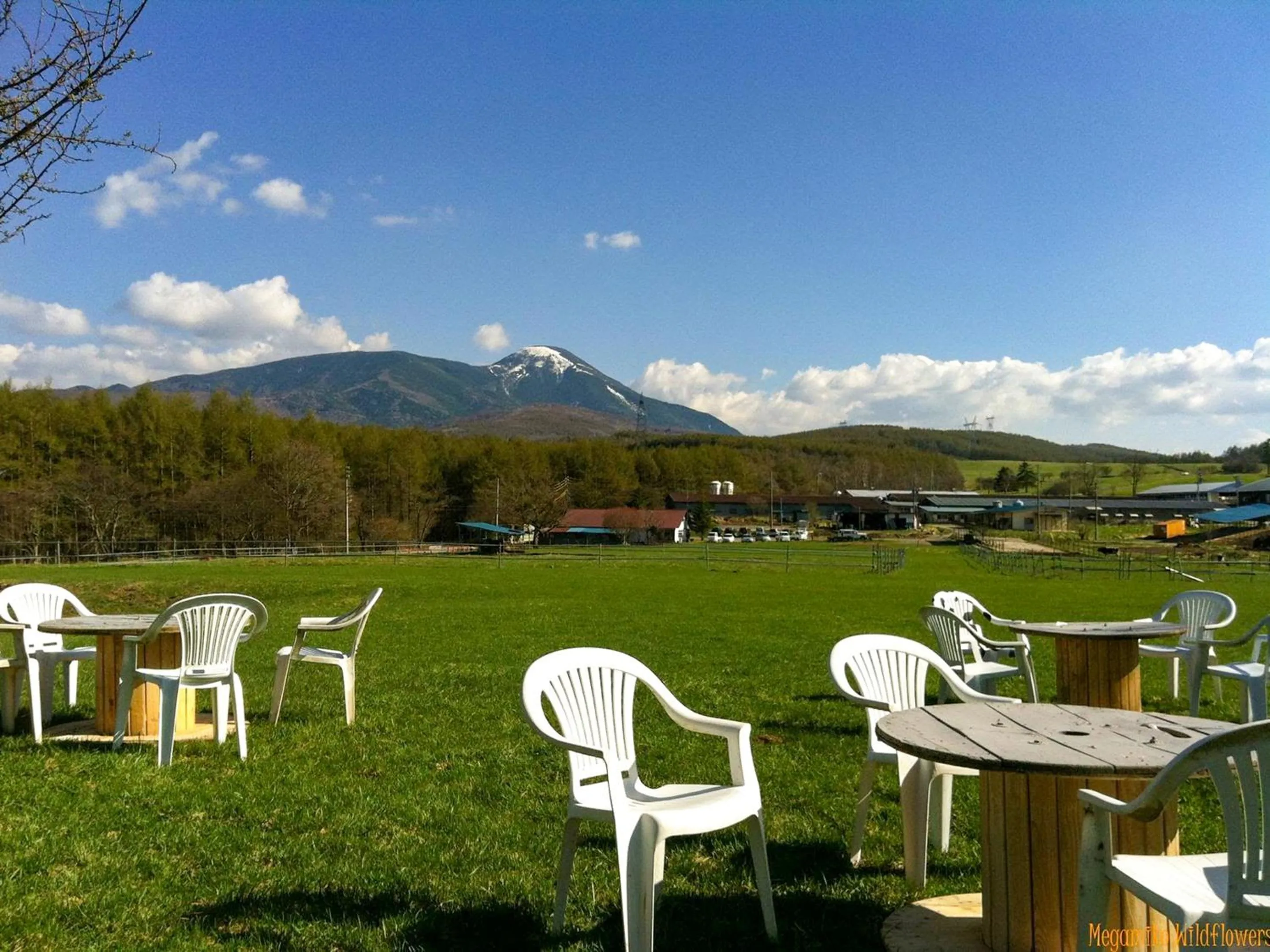 Nearby landmark in Pension Wildflowers