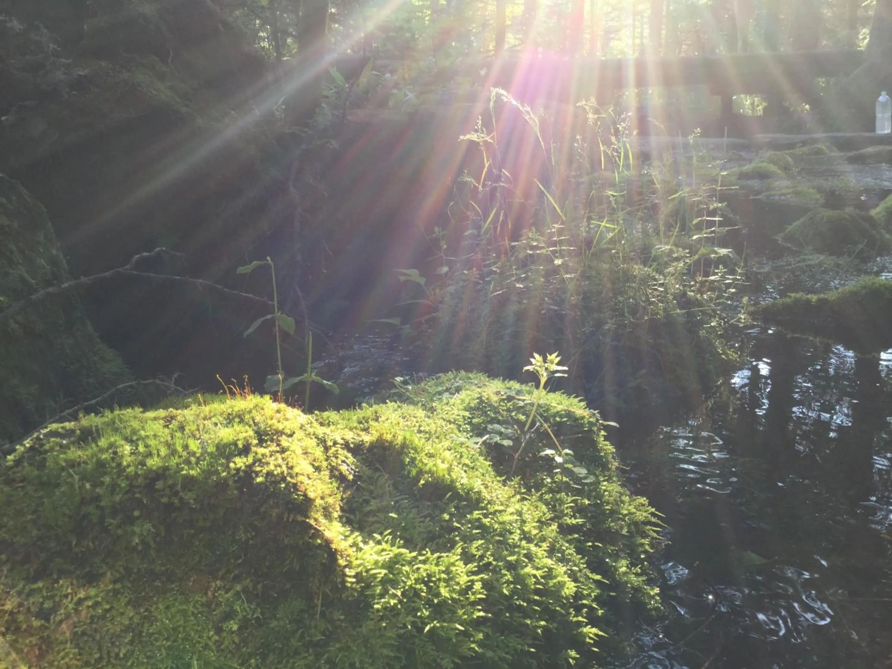 Nearby landmark in Pension Wildflowers