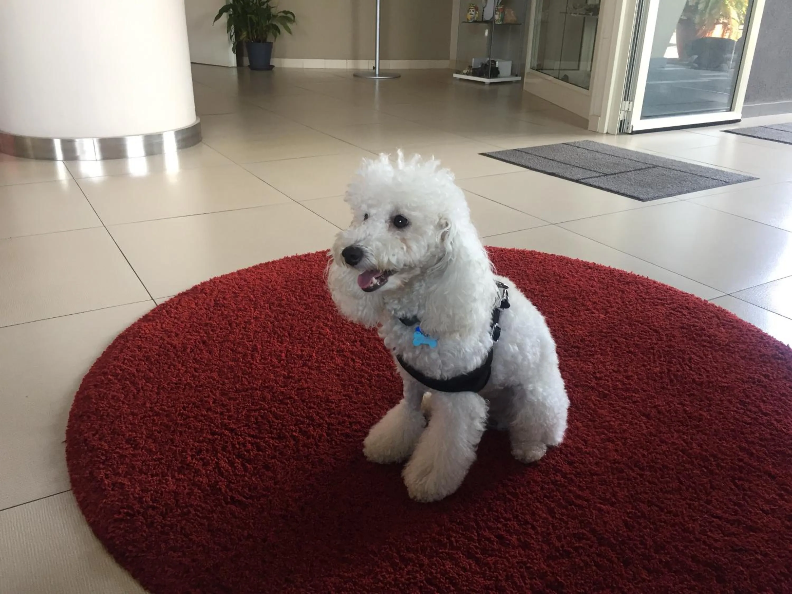 Lobby or reception in Mareneve Resort