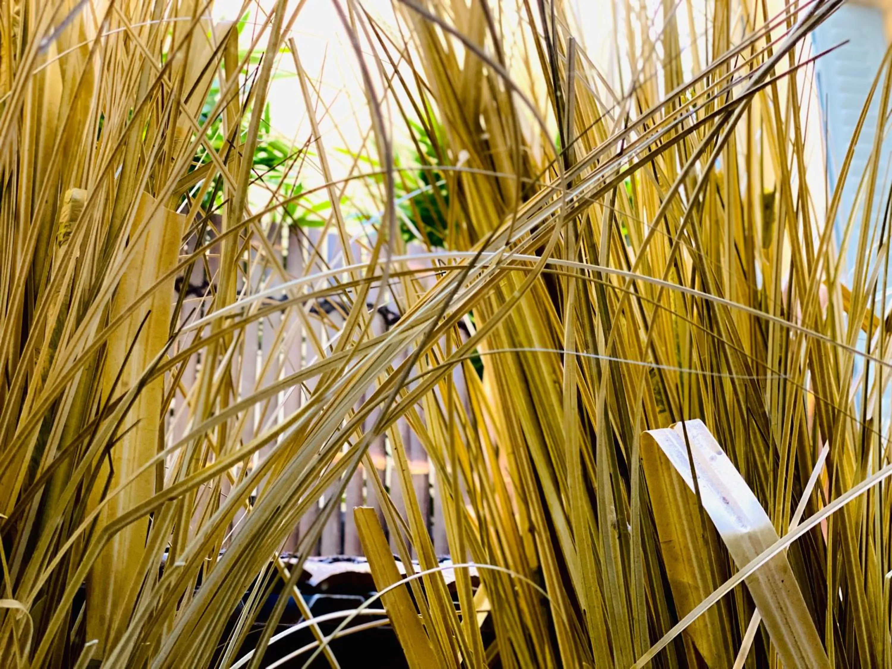 Hotel Le Midi Clermont-Cournon