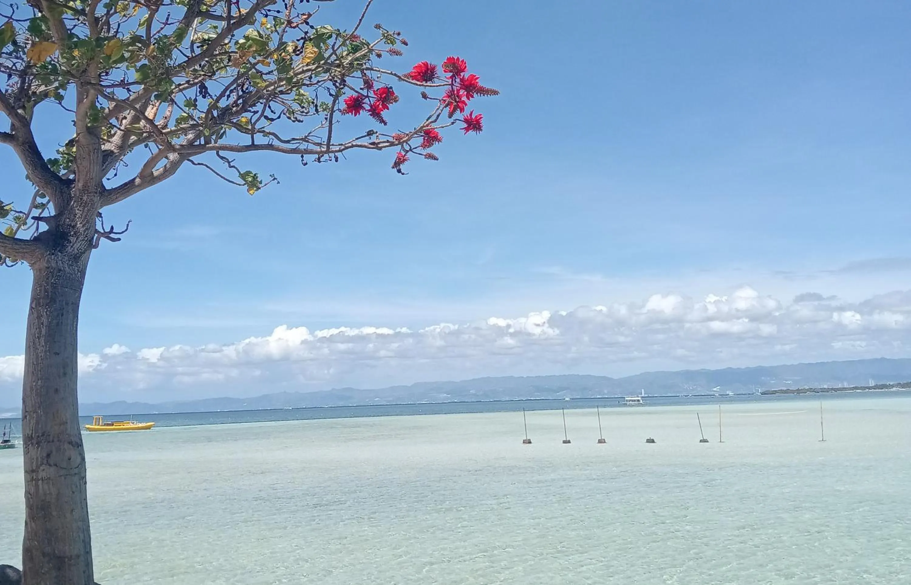 Nalusuan Island Resort and Marine Sanctuary