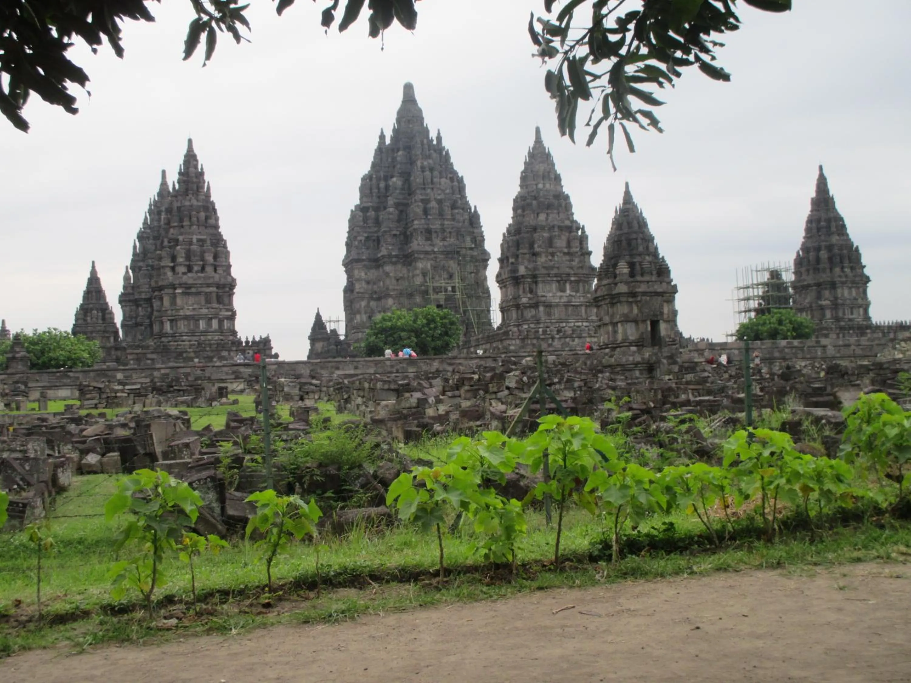 Activities in Rosella Cottages - Homestay - Yogyakarta