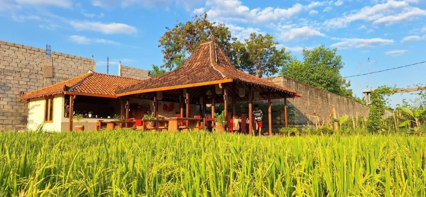 Restaurant/places to eat in Rosella Cottages - Homestay - Yogyakarta