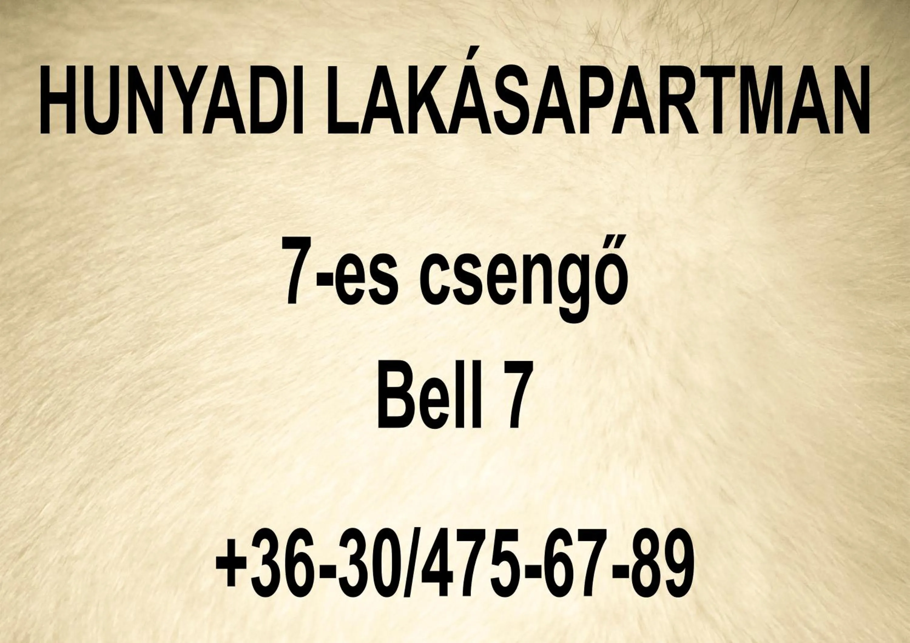 Hunyadi Apartment