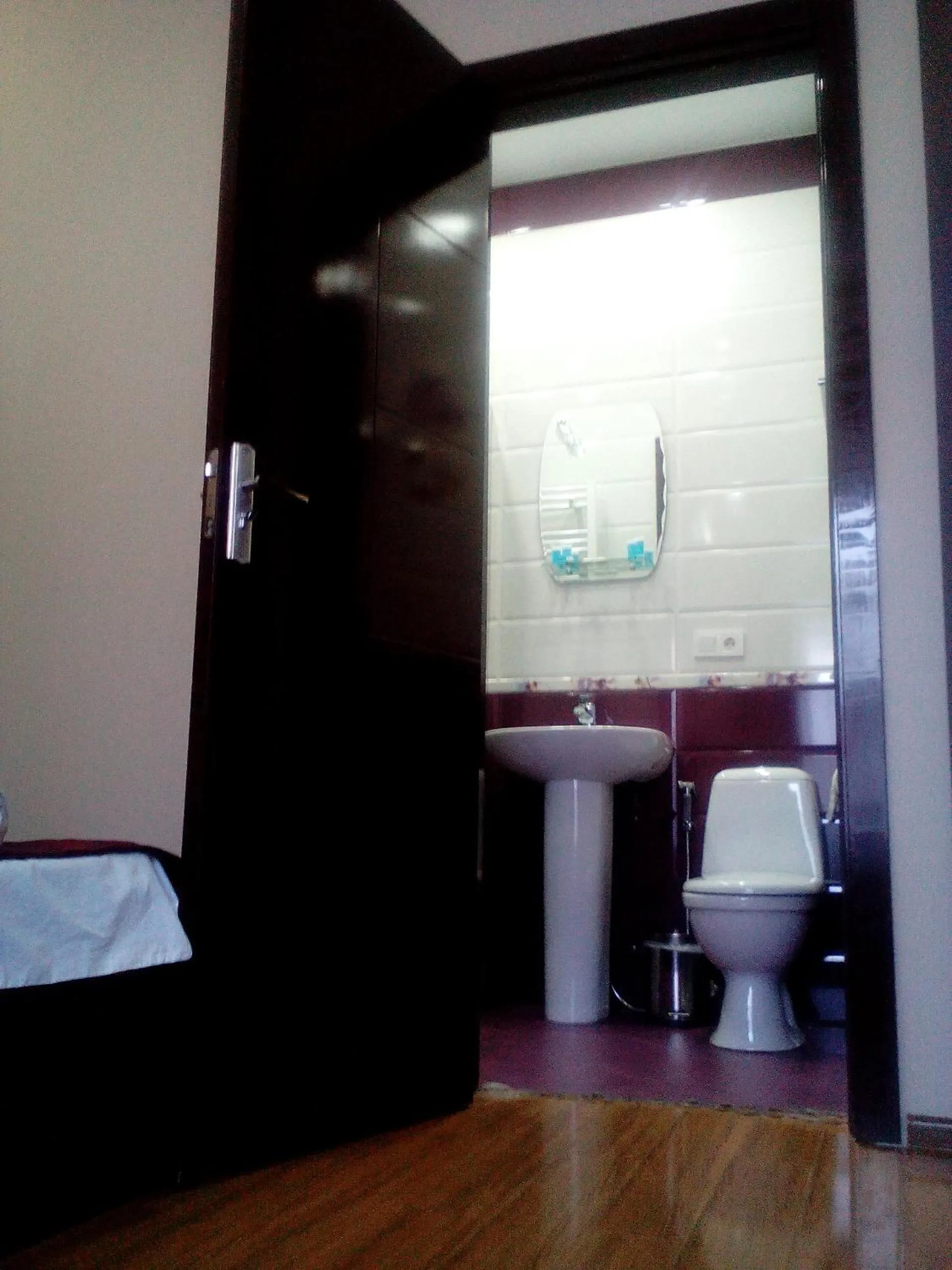 Toilet in Hotel White Neptun Georgia Tbilisi