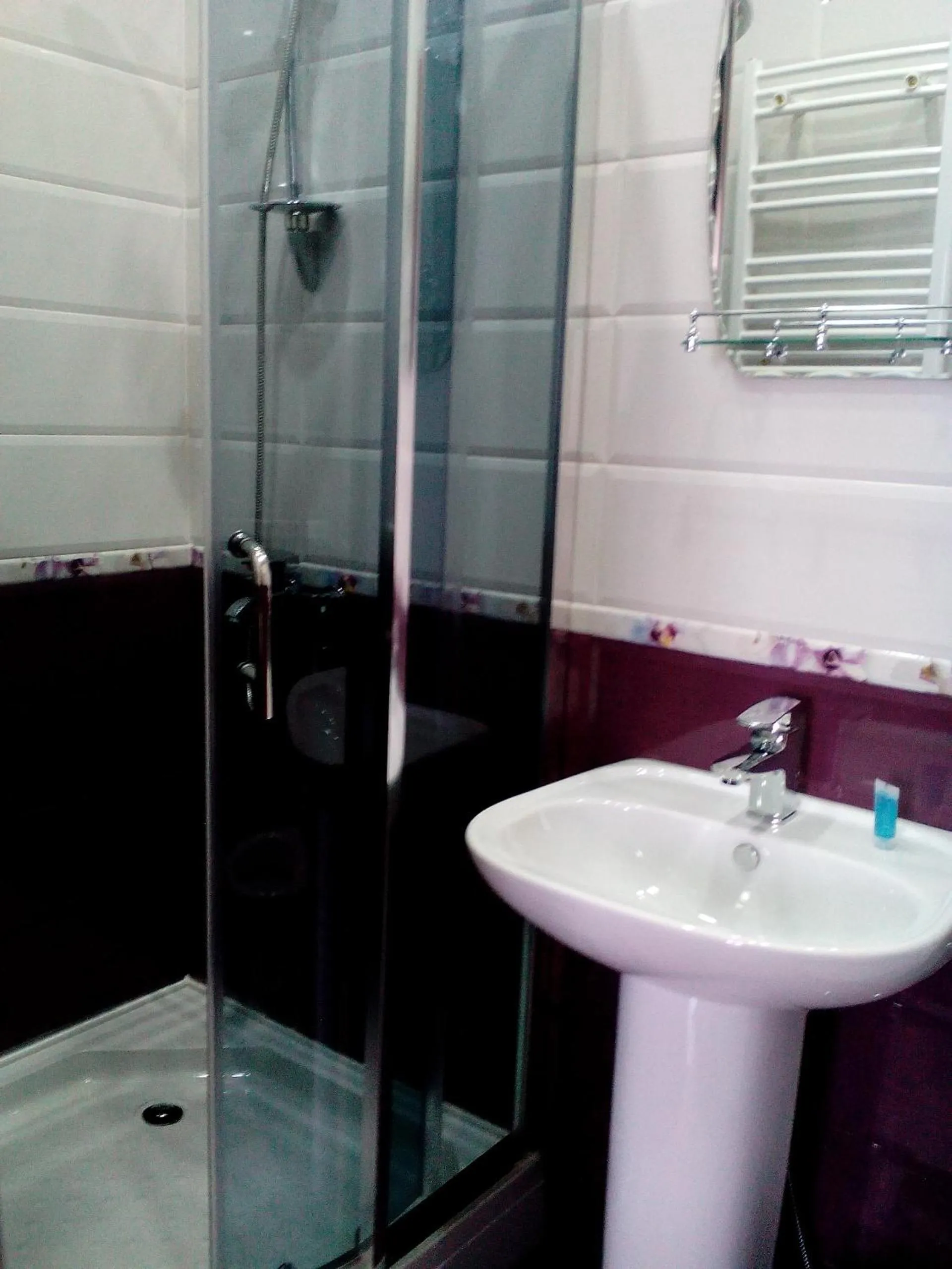 Shower in Hotel White Neptun Georgia Tbilisi