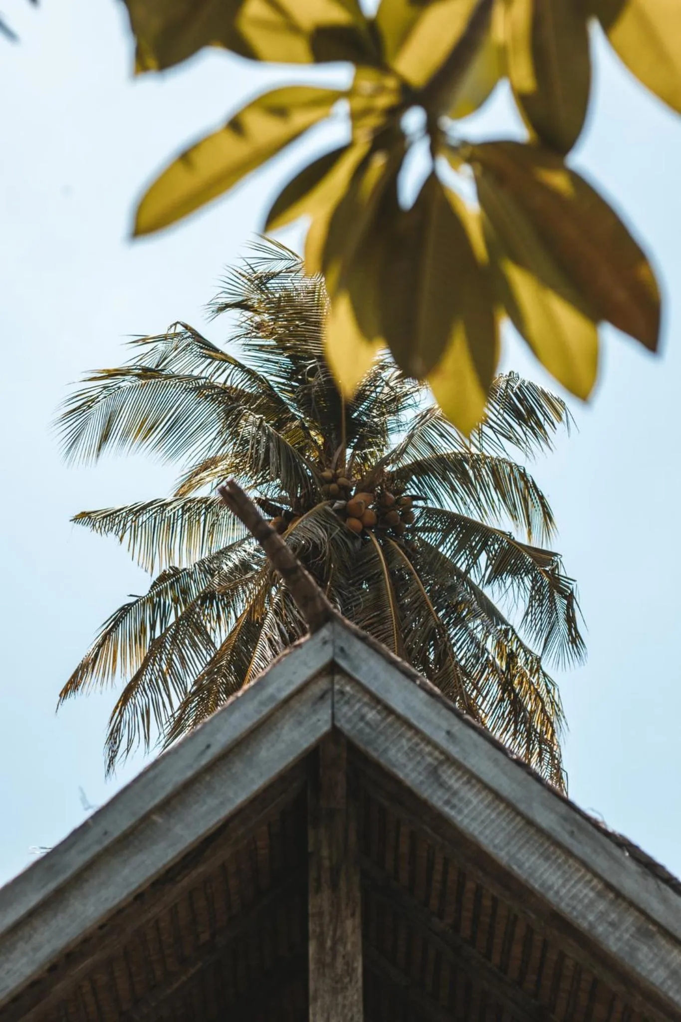 Day in Akasia Villas