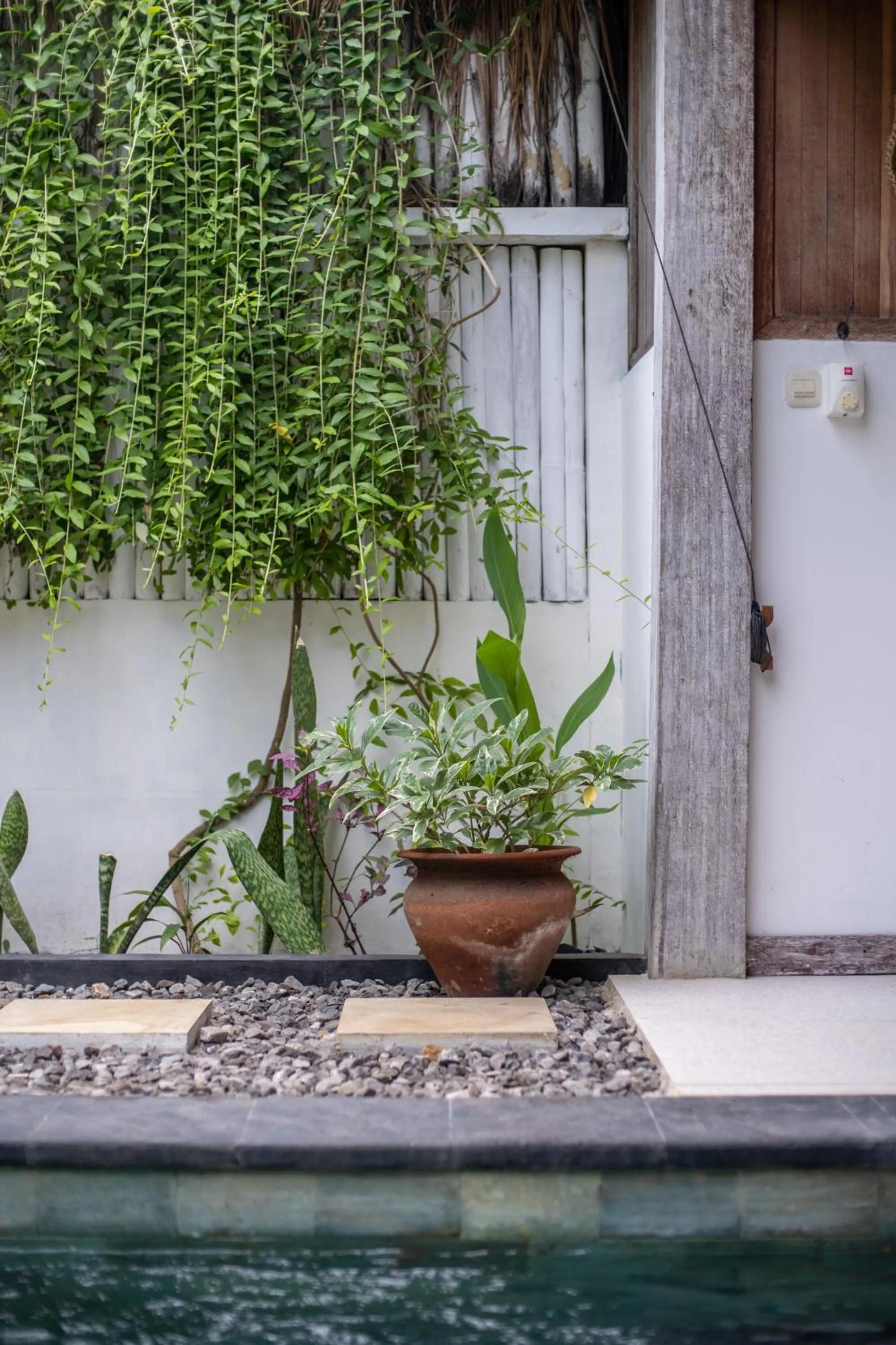 Natural landscape in Akasia Villas