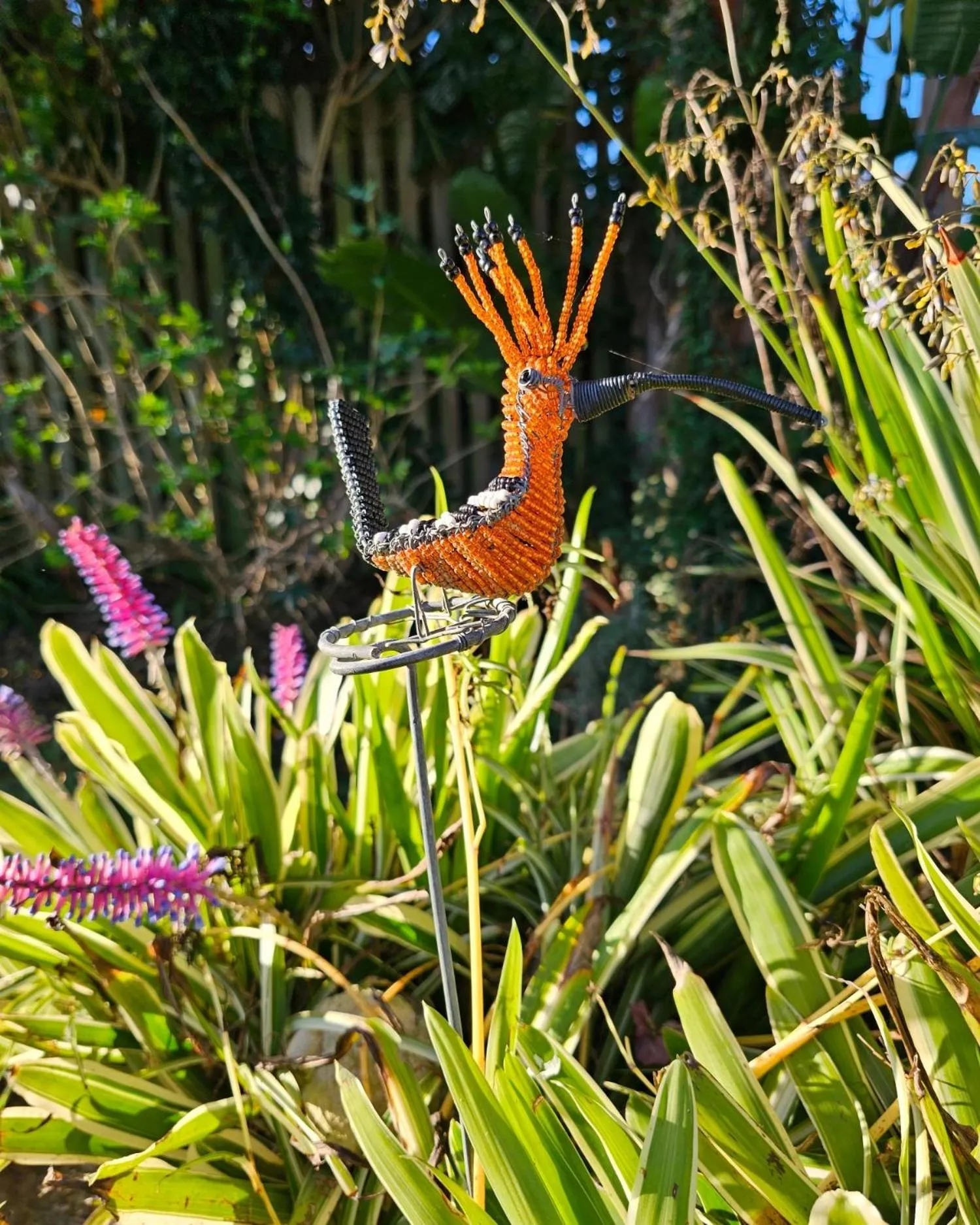 Garden in 113 on Robberg