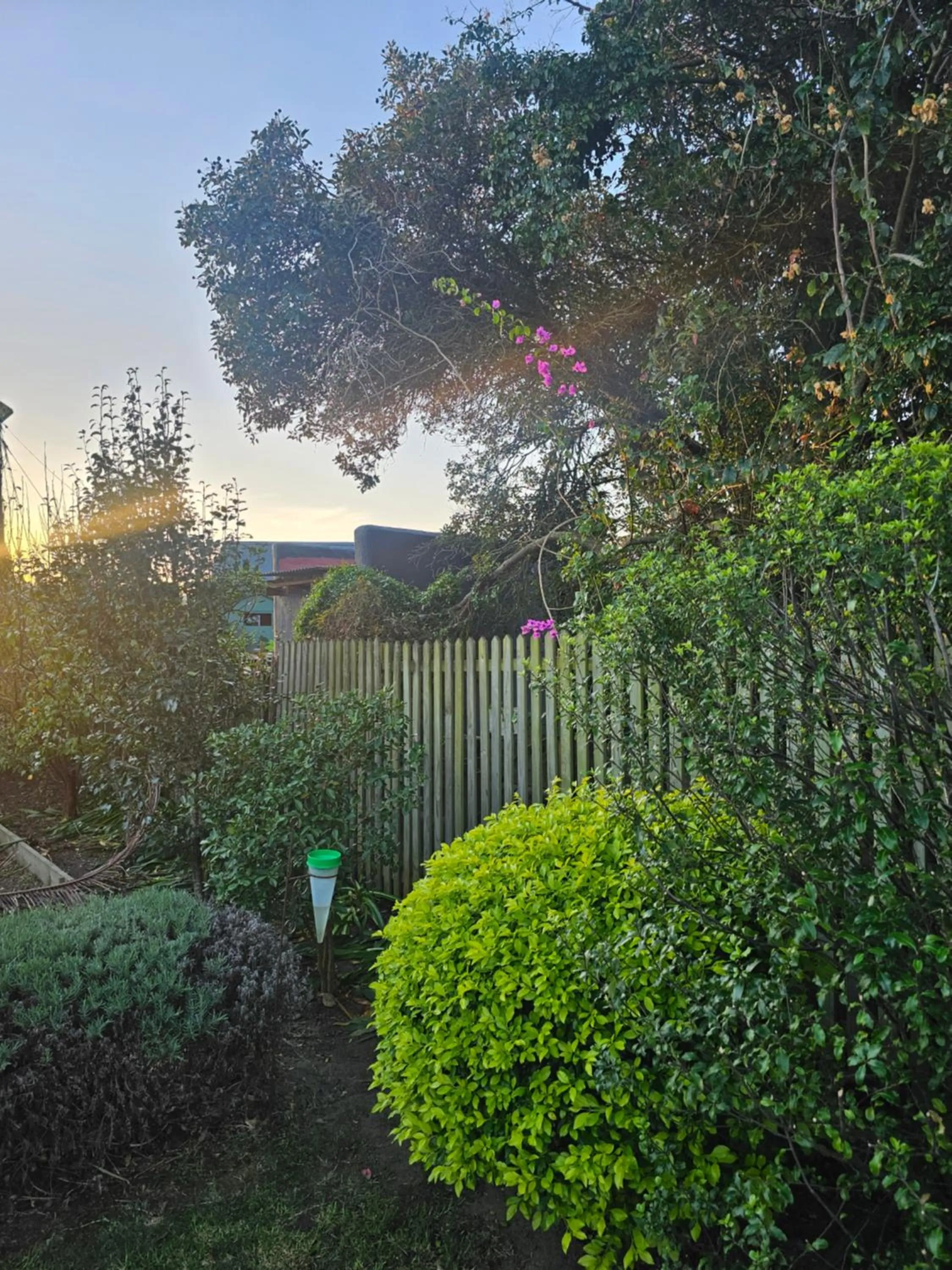 Garden in 113 on Robberg