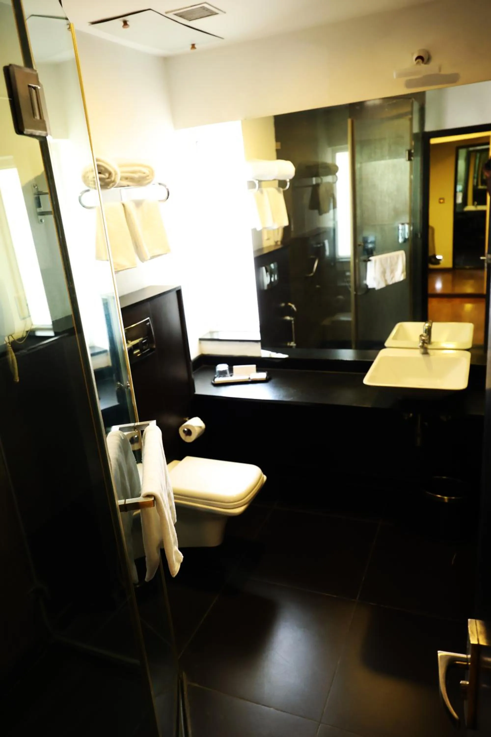 Toilet in Purple Brigade, Bangalore