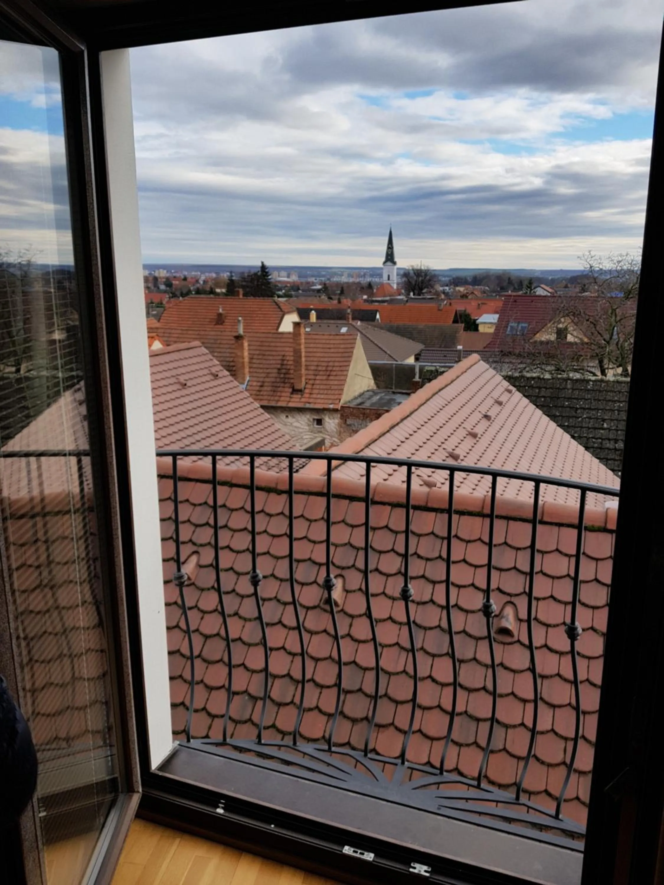 City view in Villa Vinica