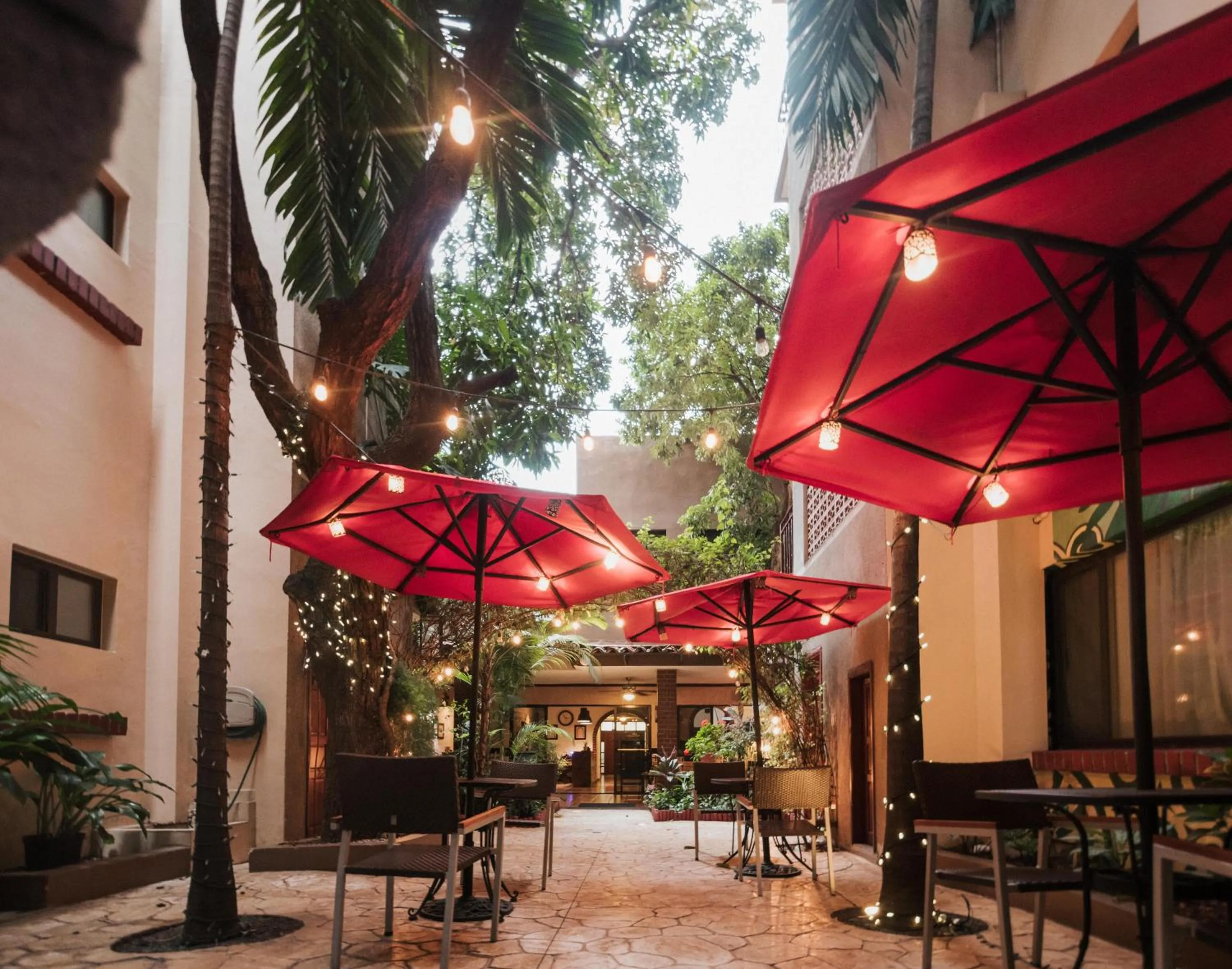 Winter in Humuya Inn