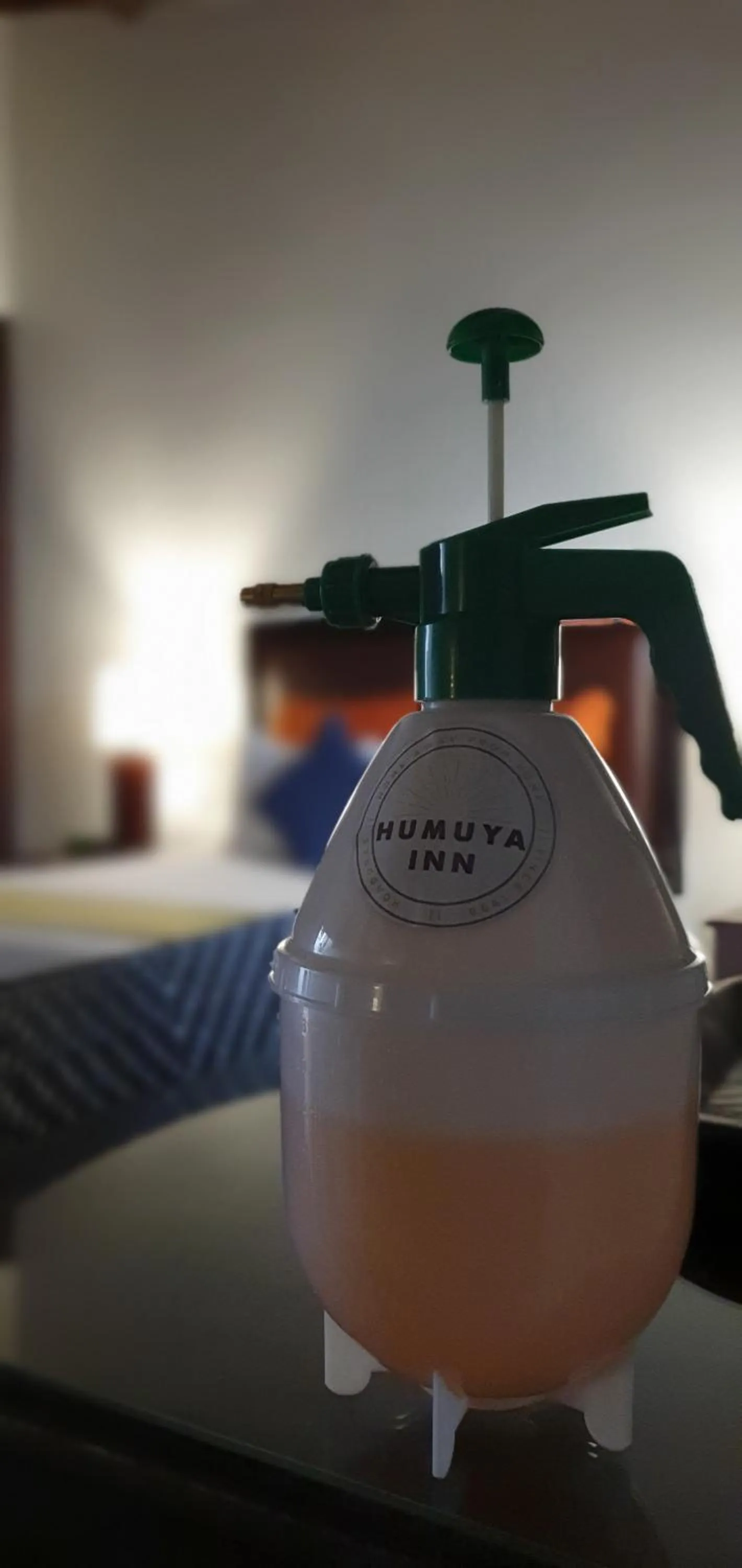 Property building in Humuya Inn