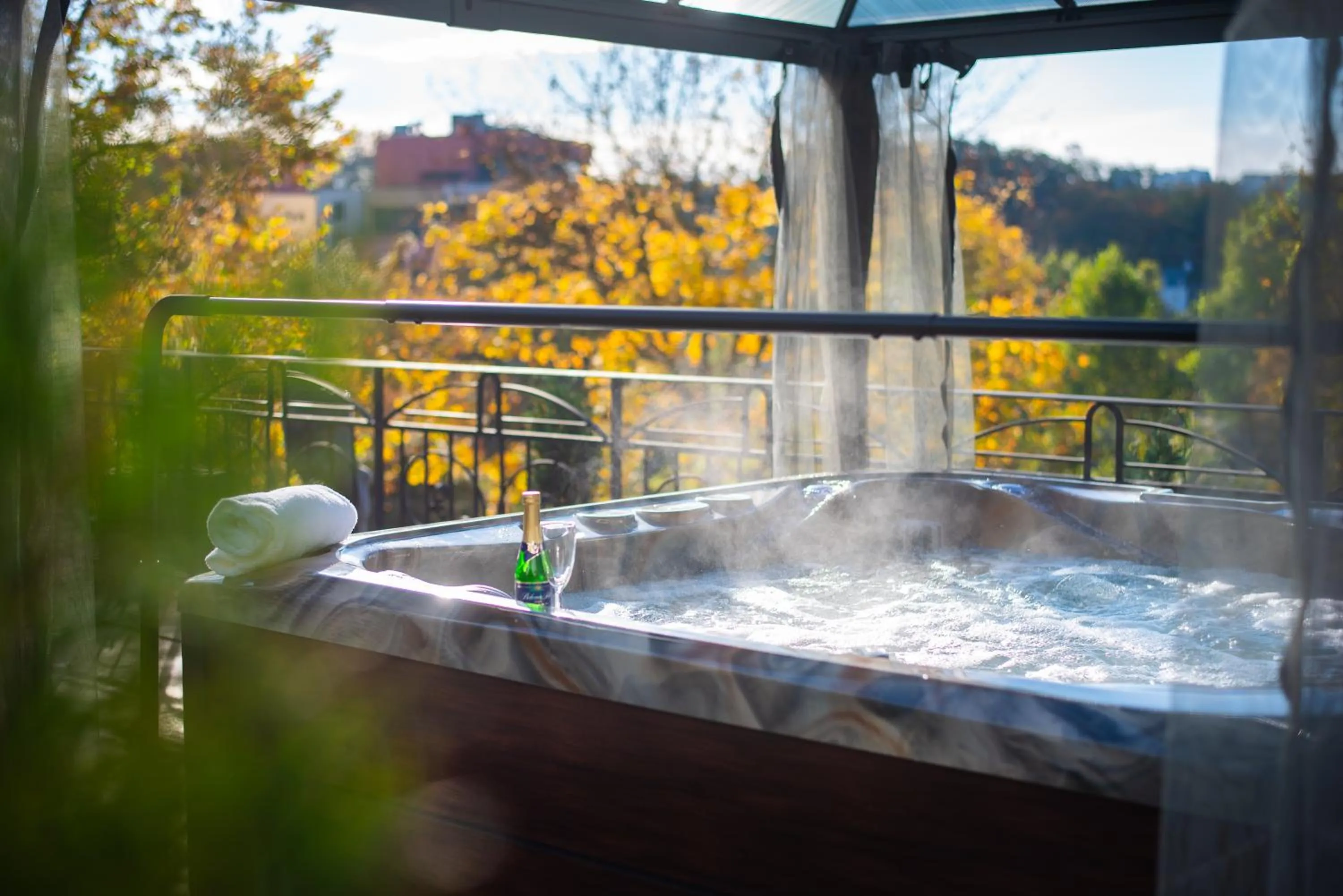 Swimming pool in Wellness & SPA boutique Hotel pod lipkami Prague