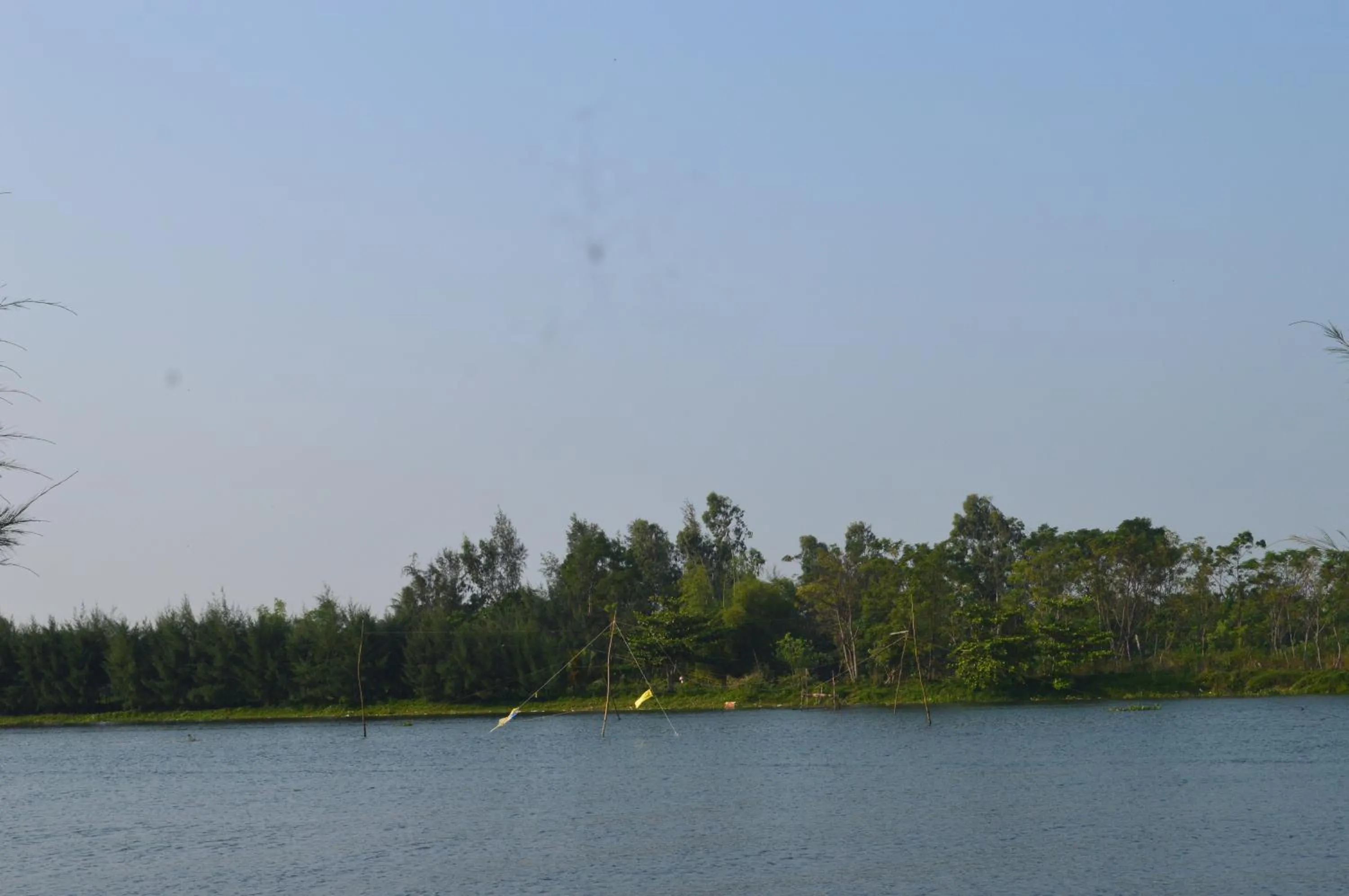 Area and facilities in Villa Orchid Garden Riverside Hoi An
