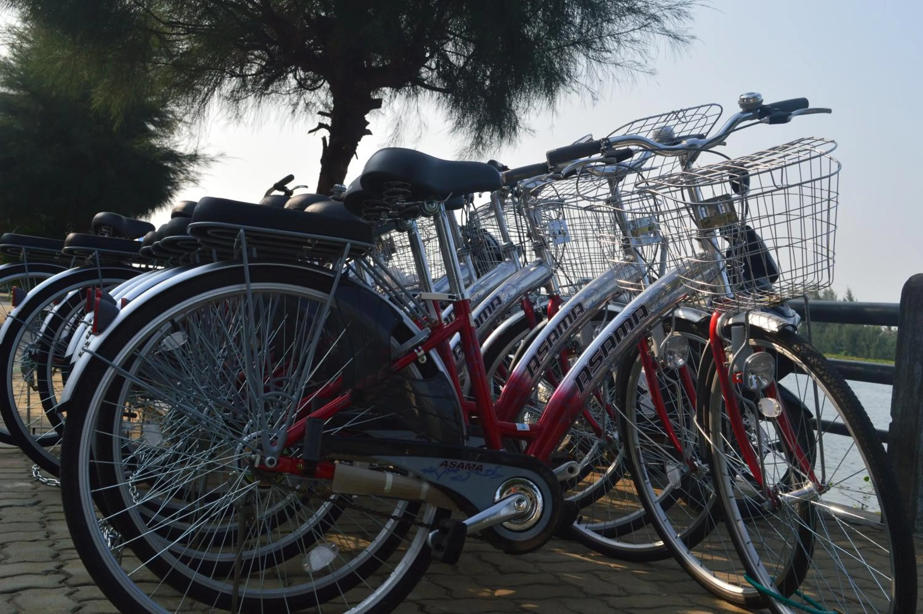 Cycling in Villa Orchid Garden Riverside Hoi An