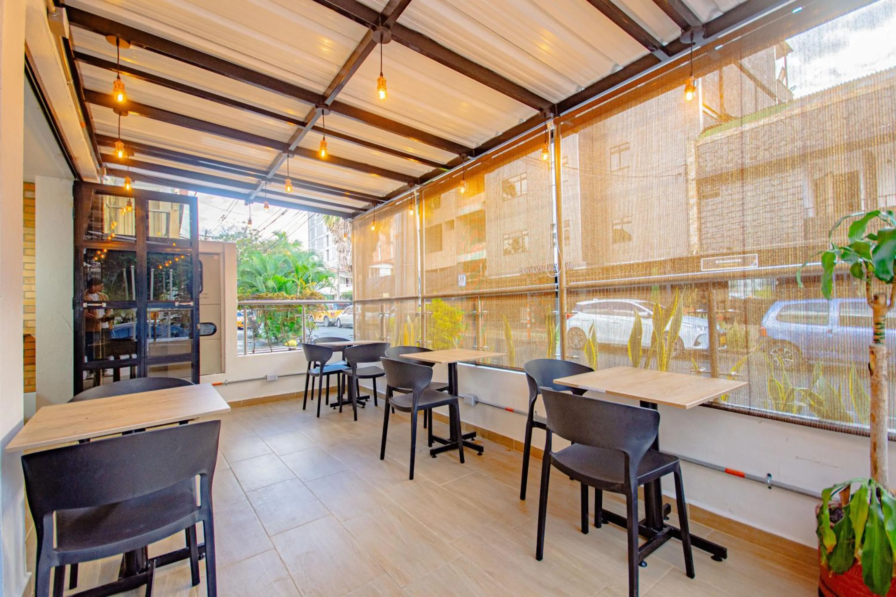 Restaurant/places to eat in Novus Laureles