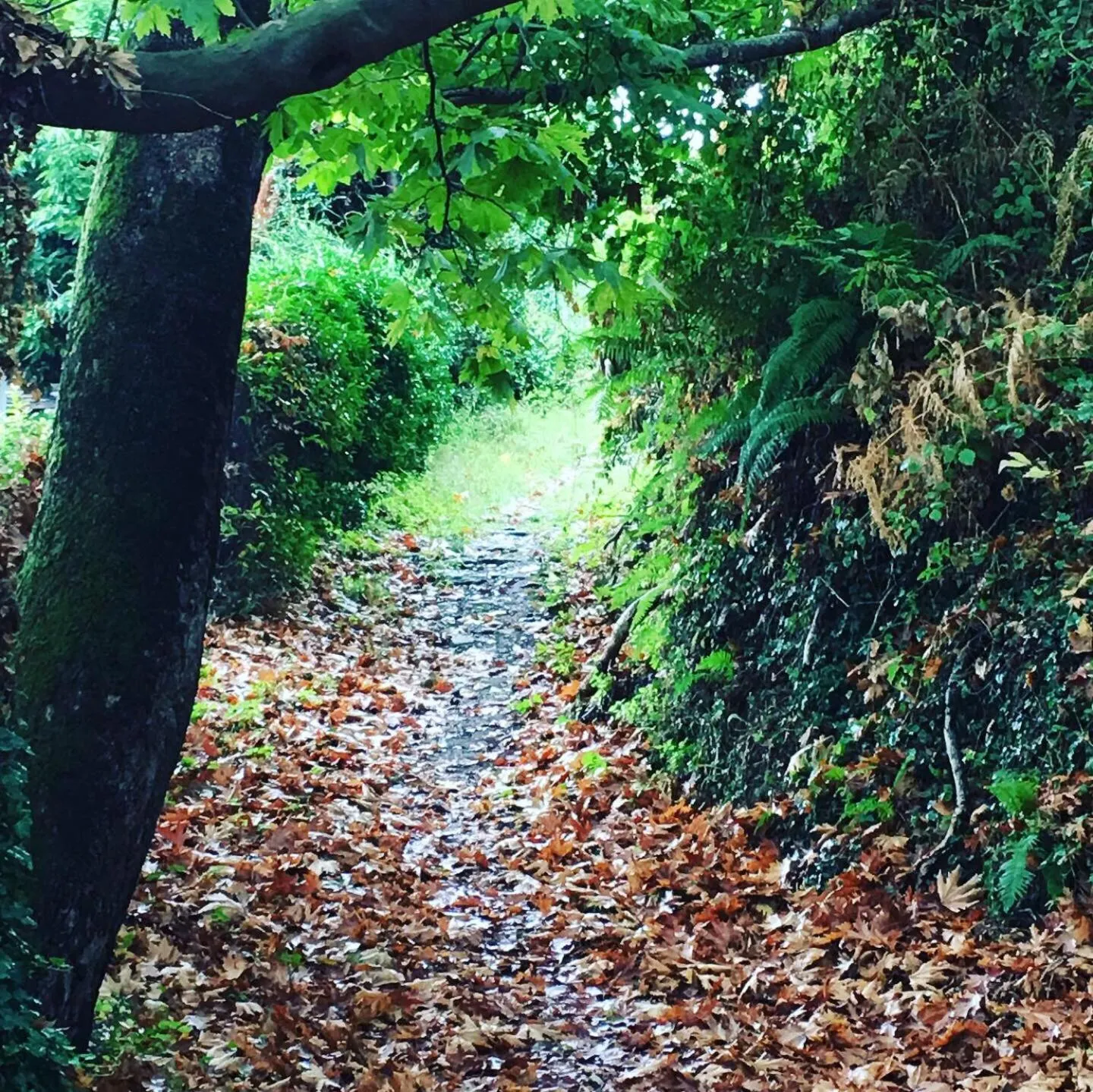 Kalderimi Country House