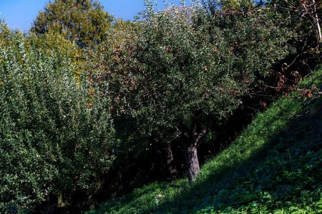 Kalderimi Country House