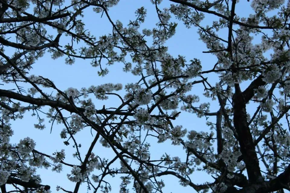 Kalderimi Country House