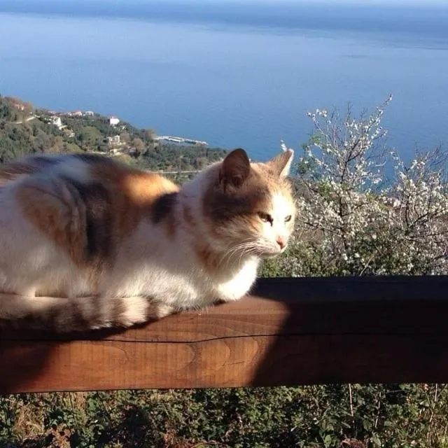 Kalderimi Country House