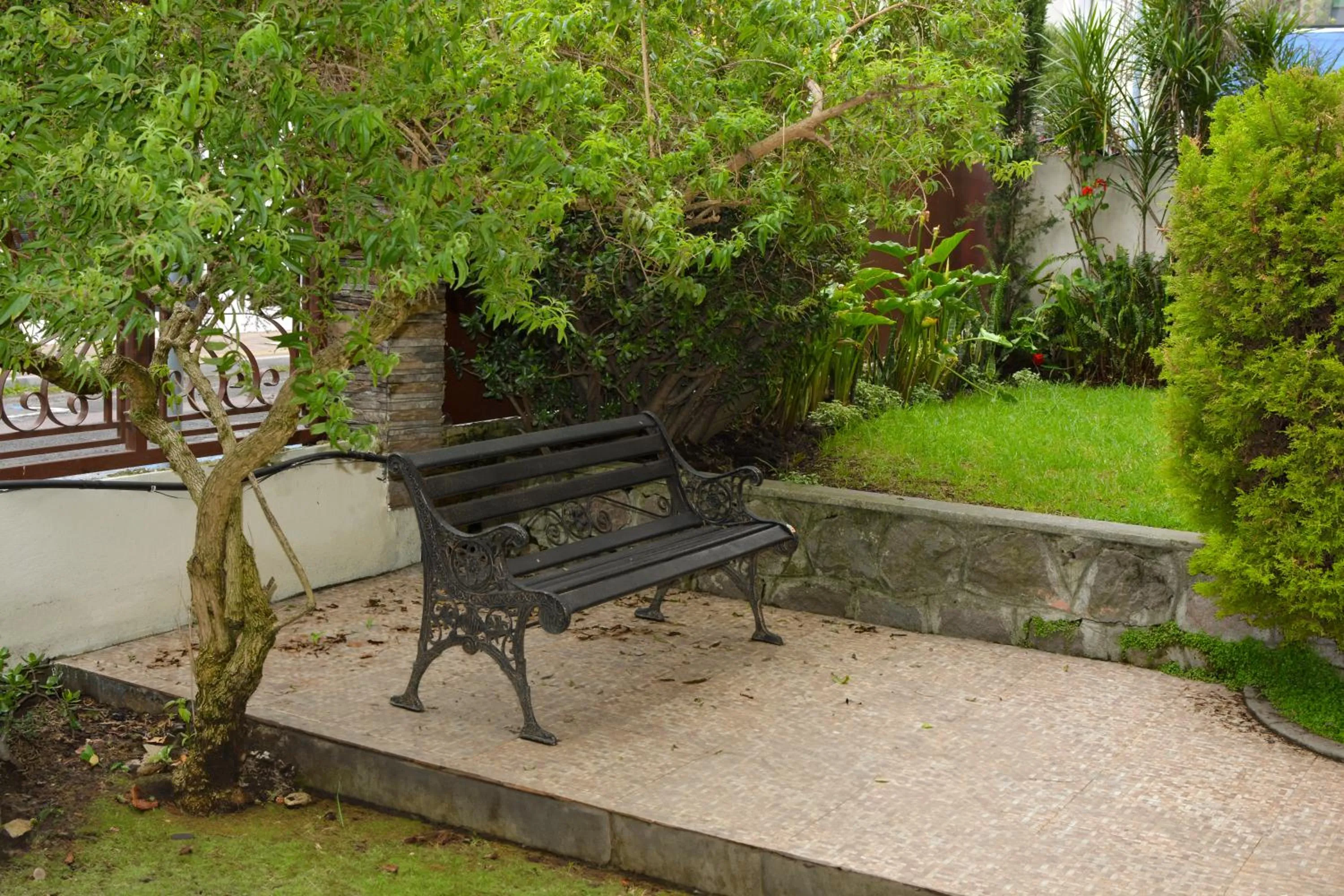 Garden in Hotel Villa Lafayette