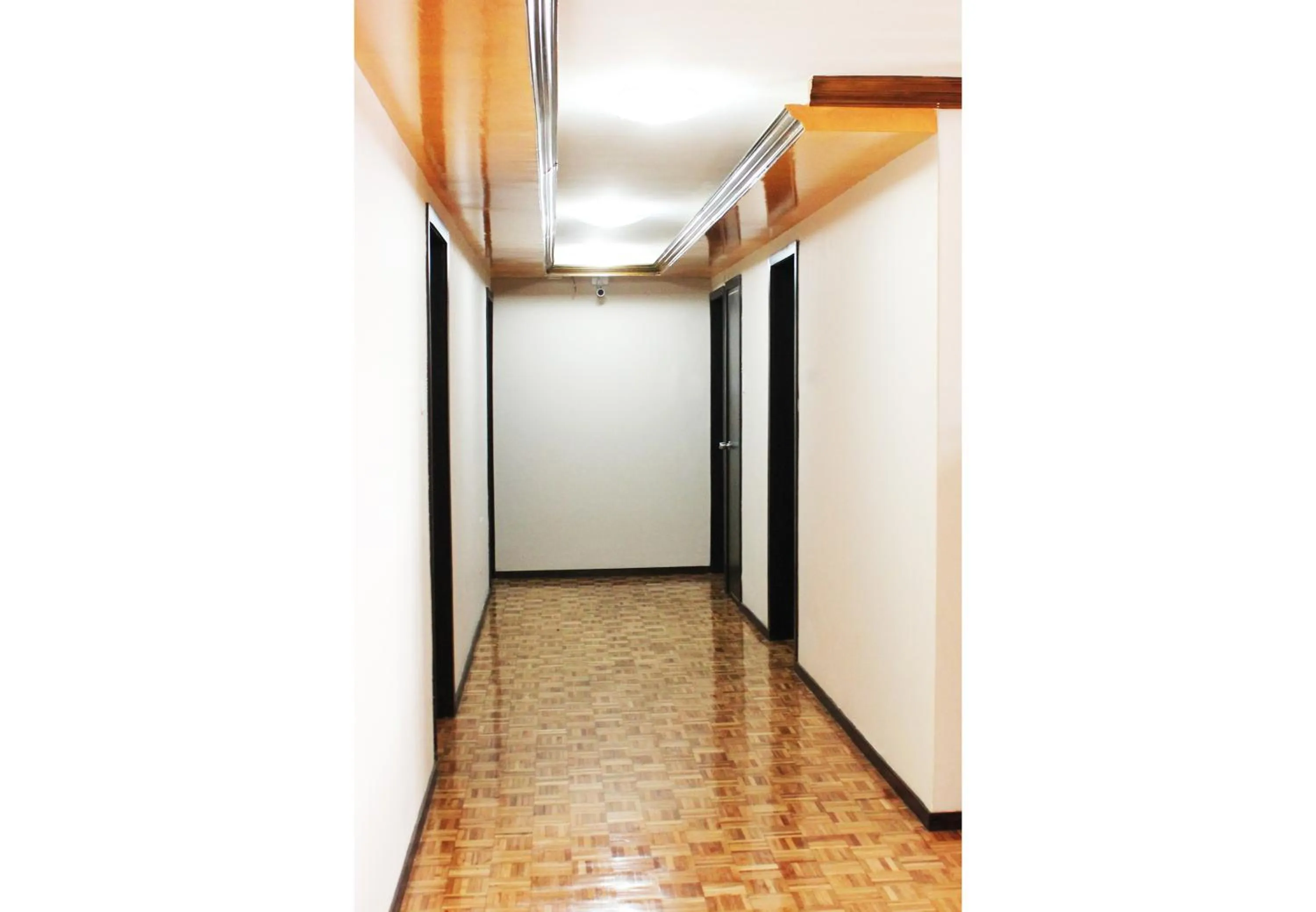 Area and facilities in Hotel Villa Lafayette