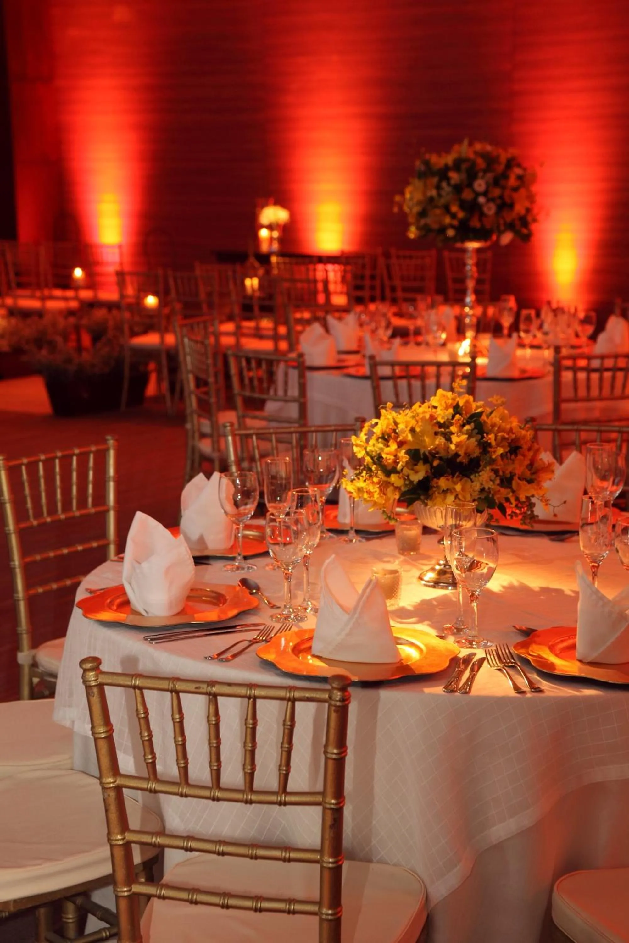 Banquet/Function facilities in Blue Tree Premium Alphaville