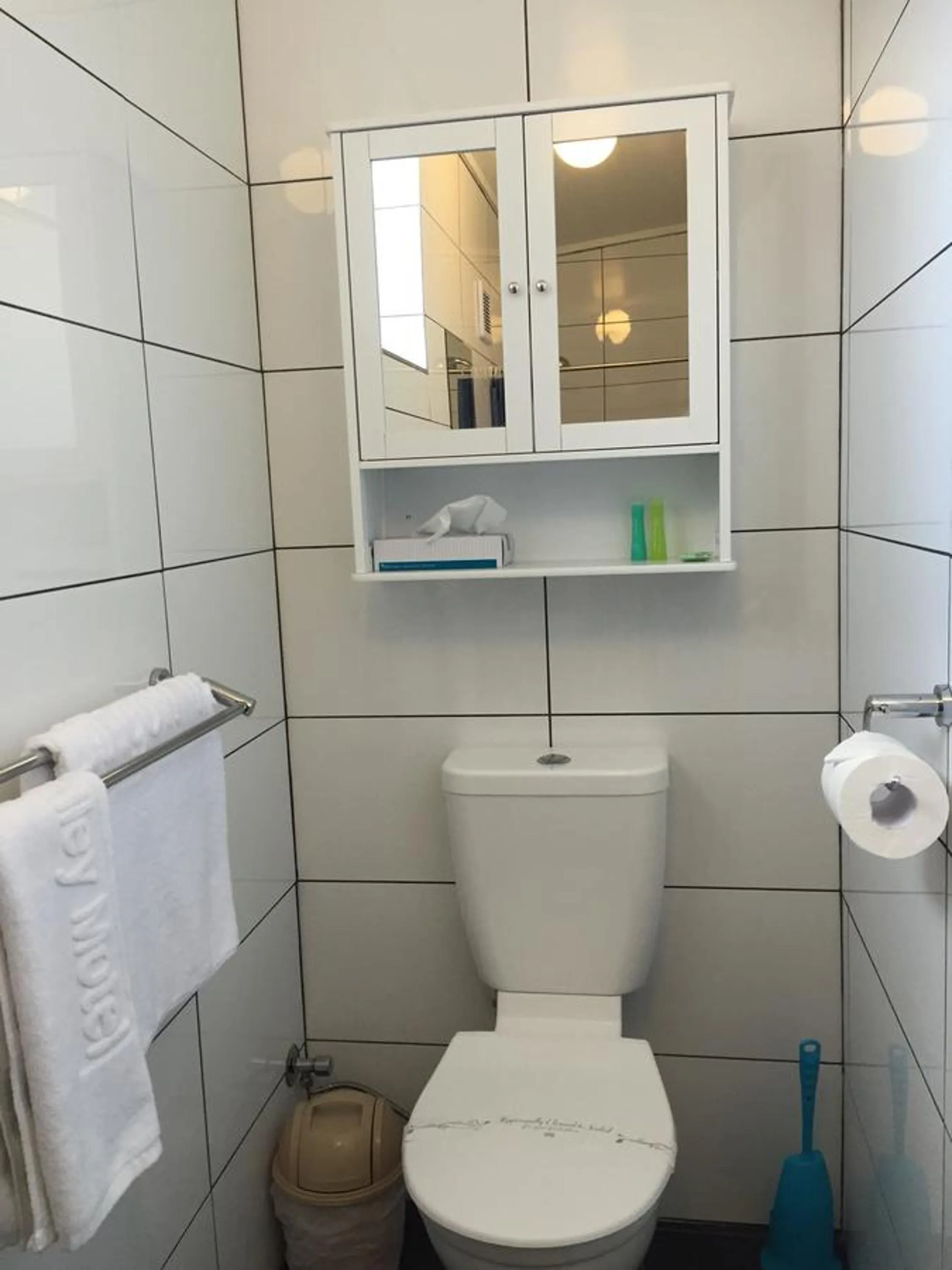 Bathroom in Lithgow Valley Motel