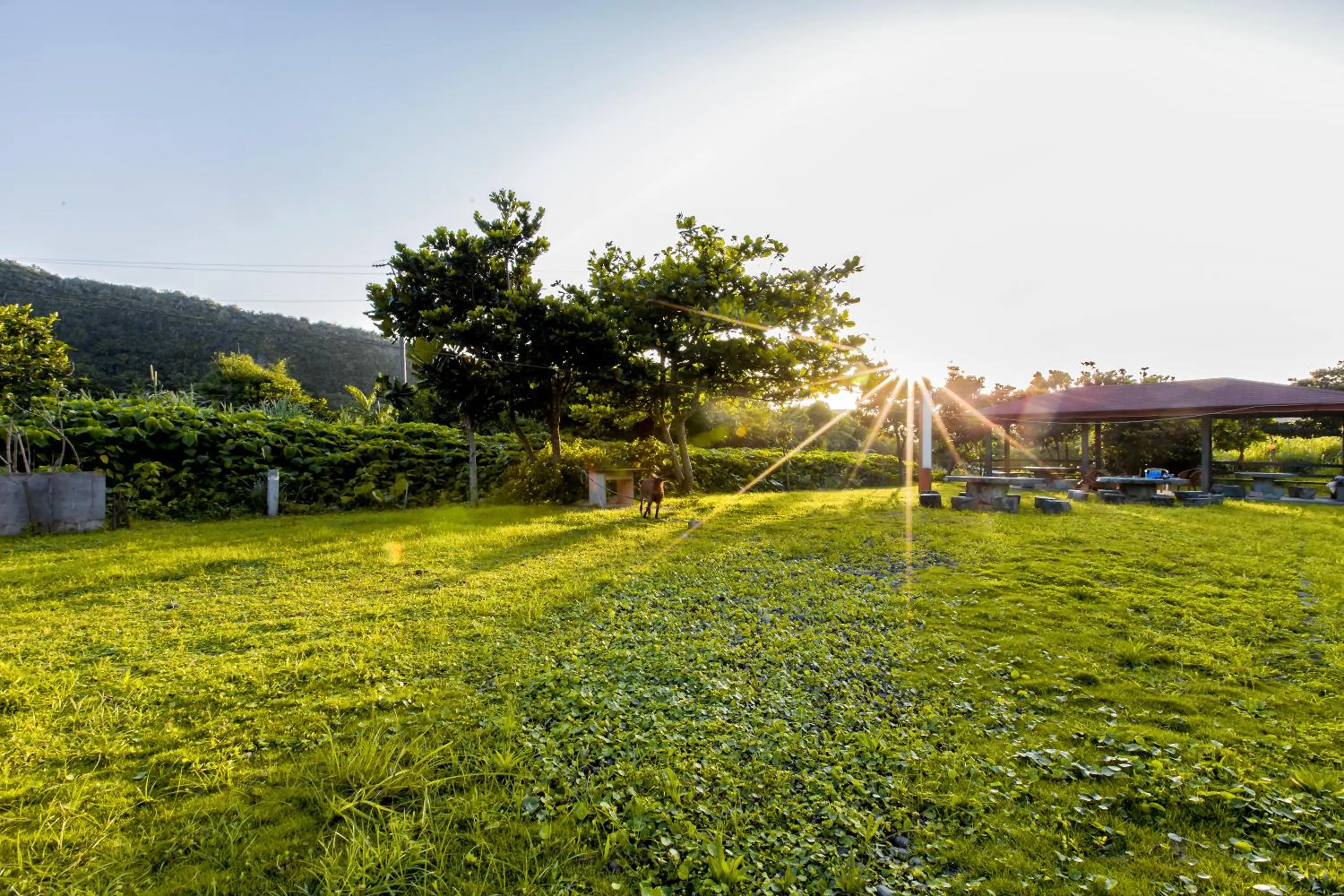 Garden in Toong Hsiang Hotel