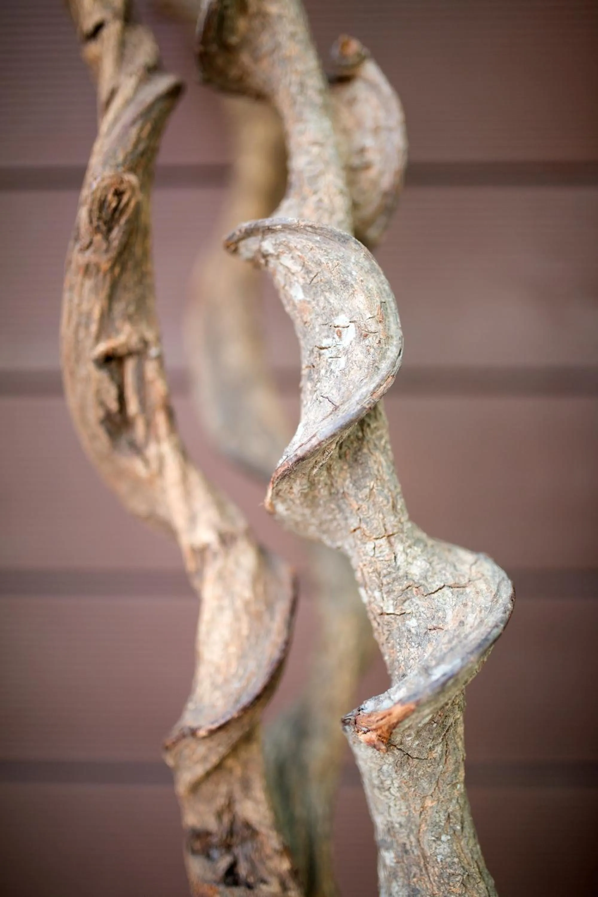 Decorative detail in Hotel Europa Lignano